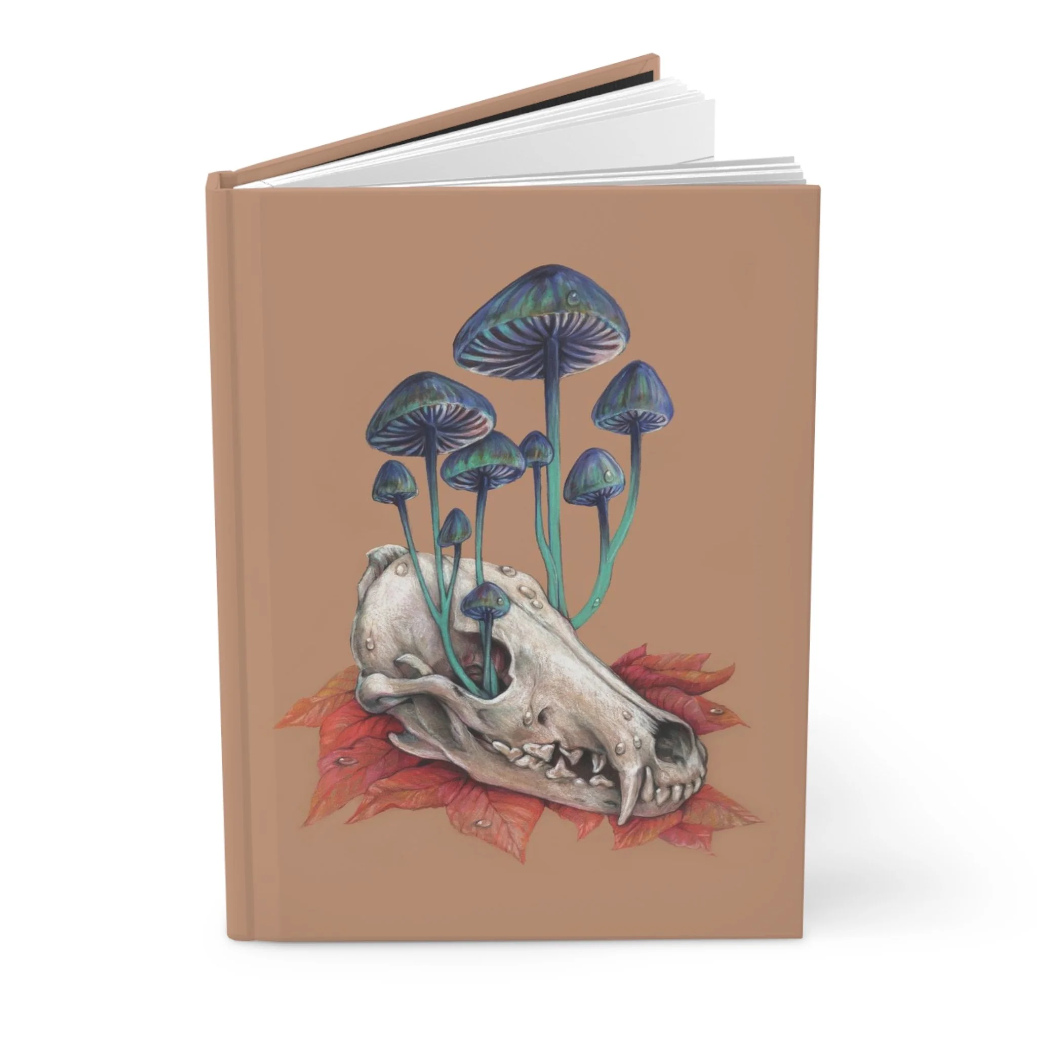 eca9b5a97e9e60765e12fb4ddc6e9fc8