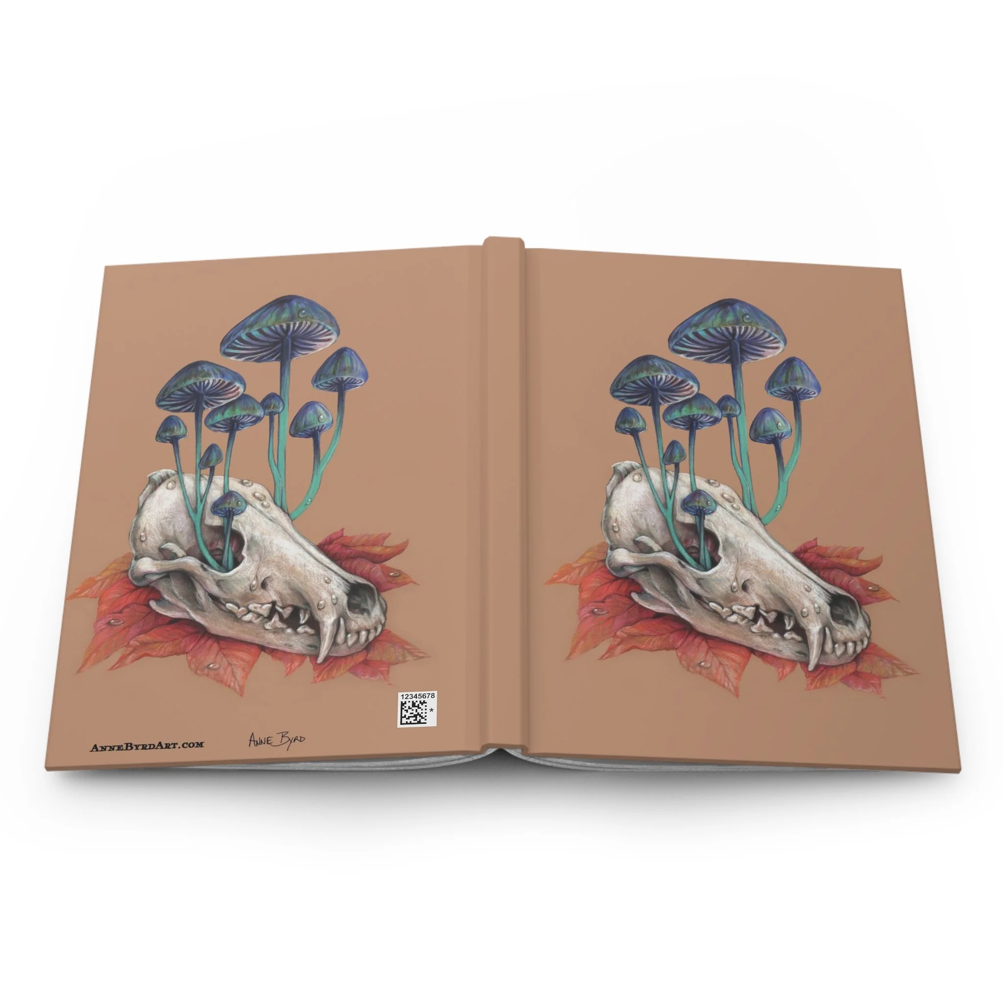 b3ac910e0fc05e7950a894dae4828d7a