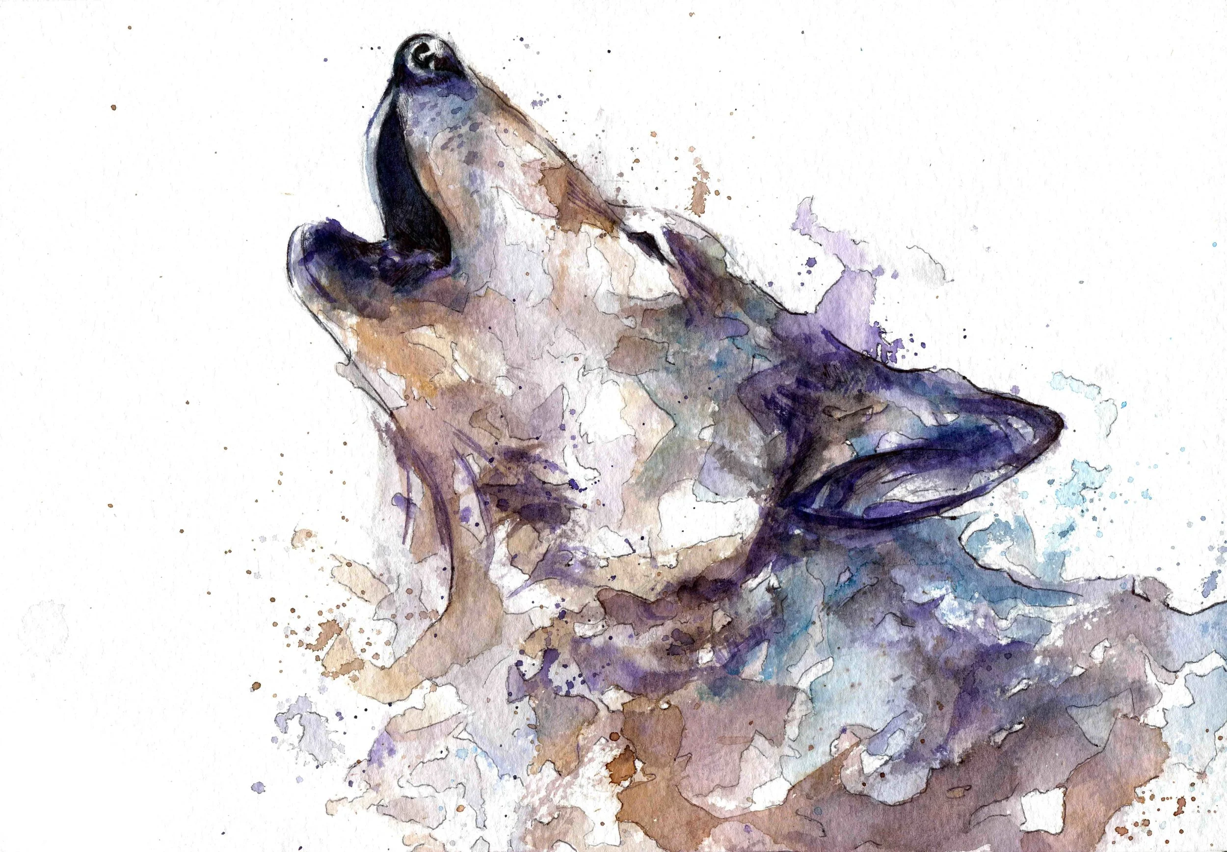 wolfprint.jpg