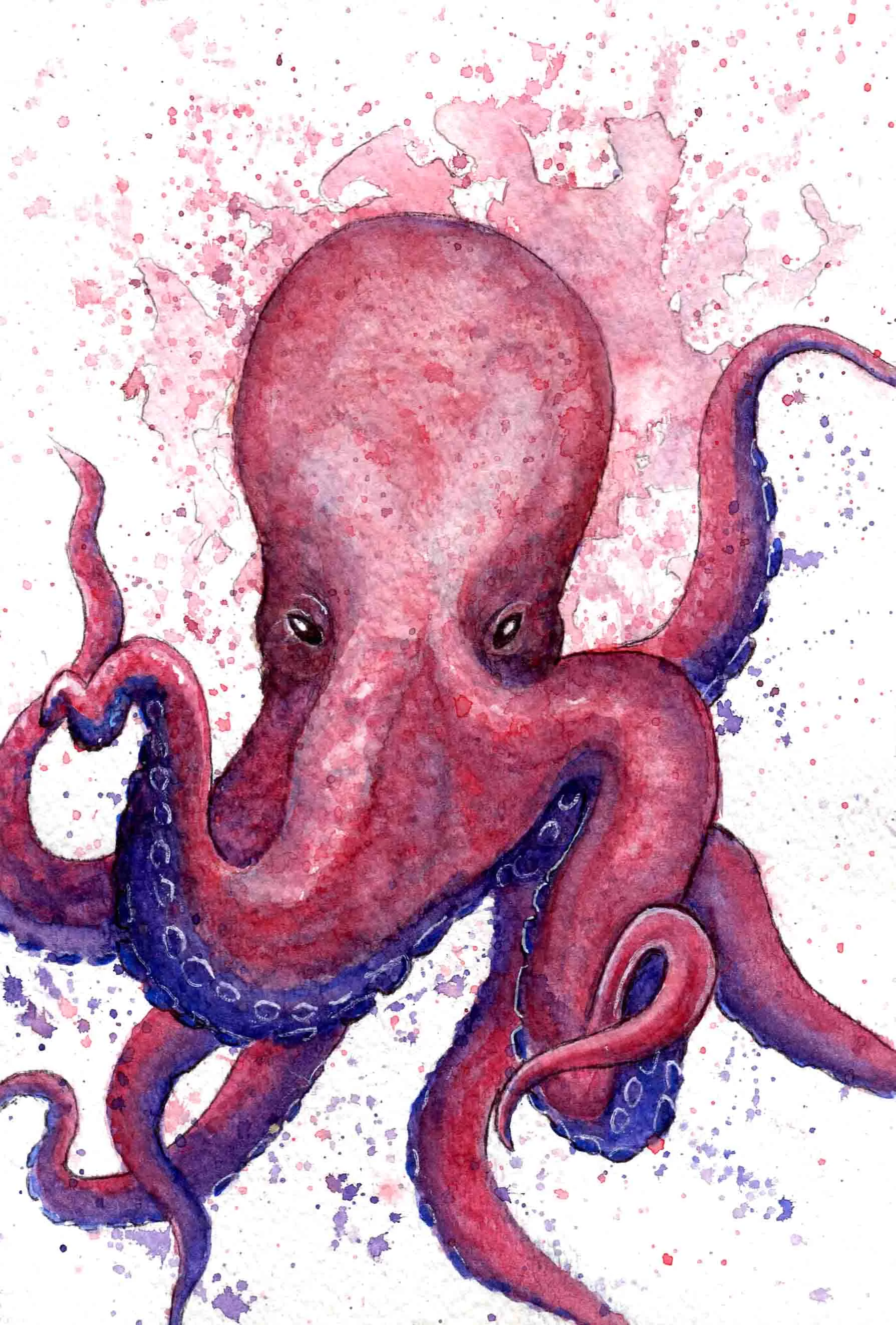 Octo.jpg
