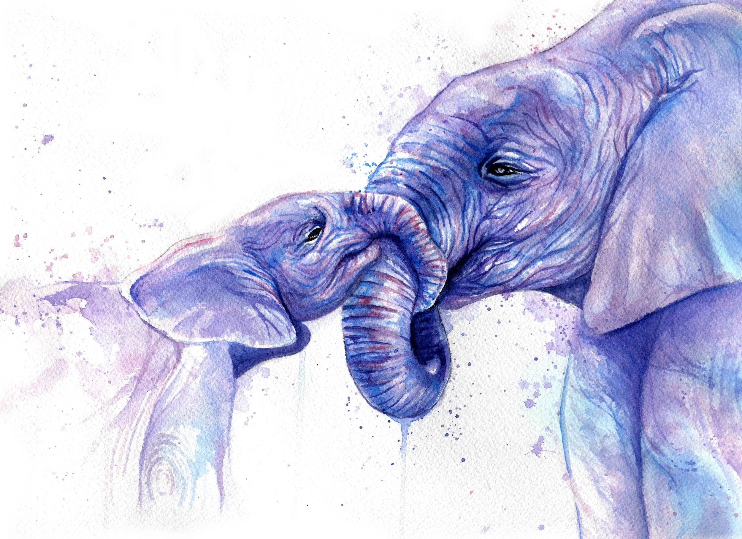 elephantsedited.jpg