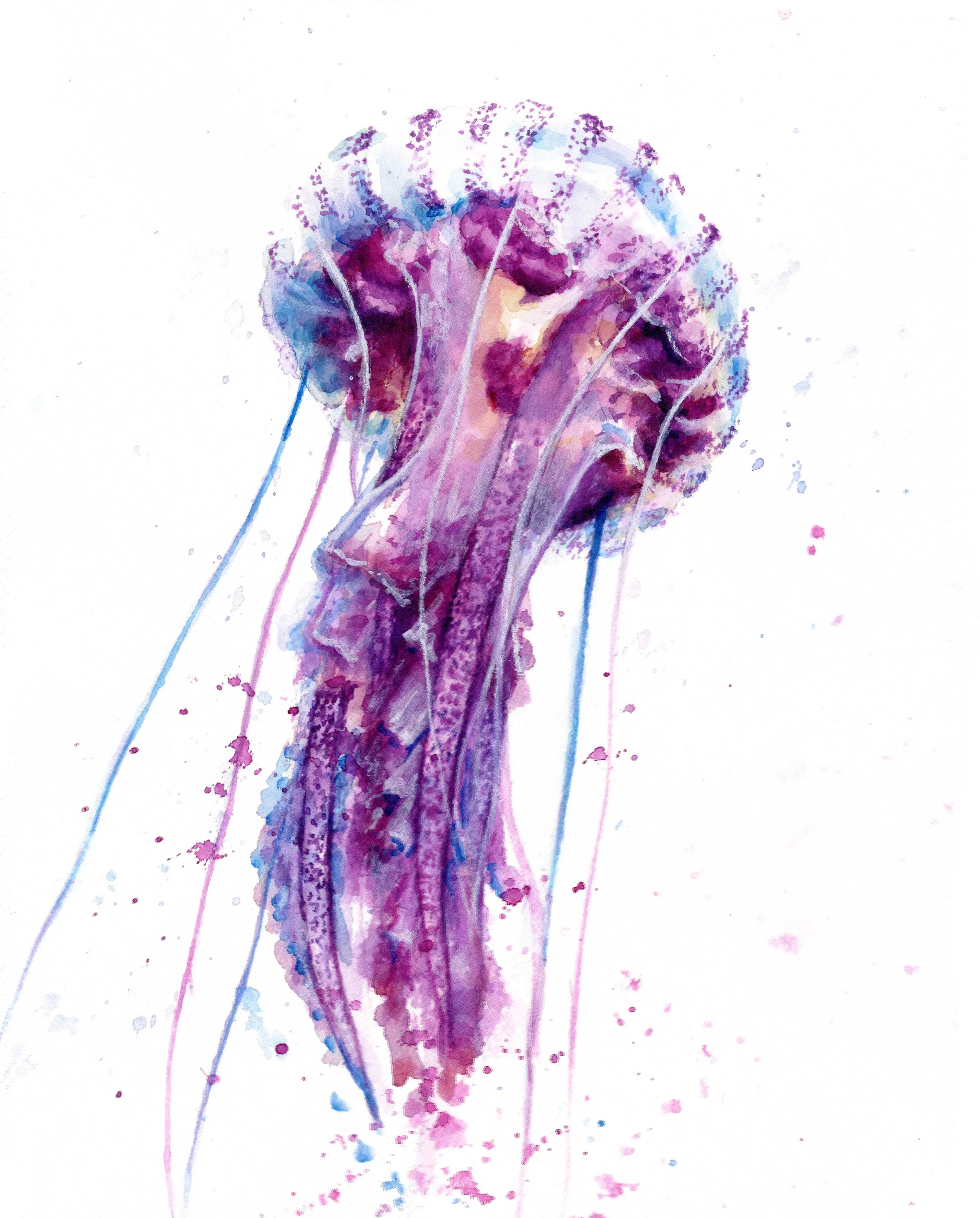 JellyFish.jpg