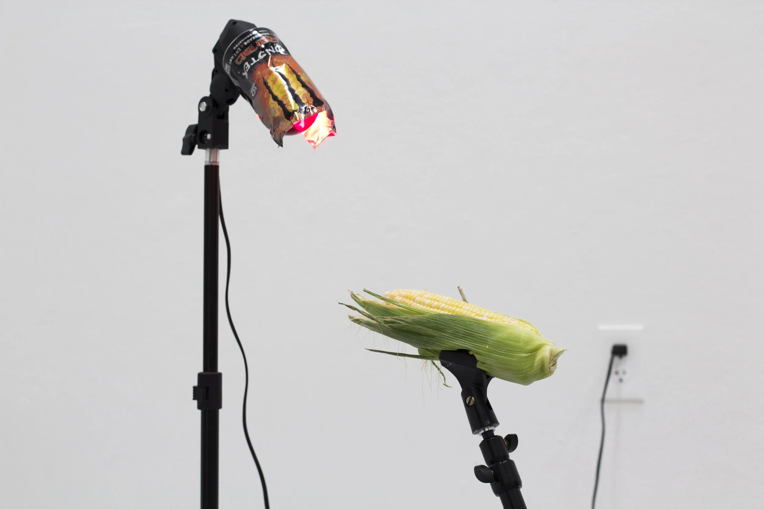 CornMonster2_2017.jpg