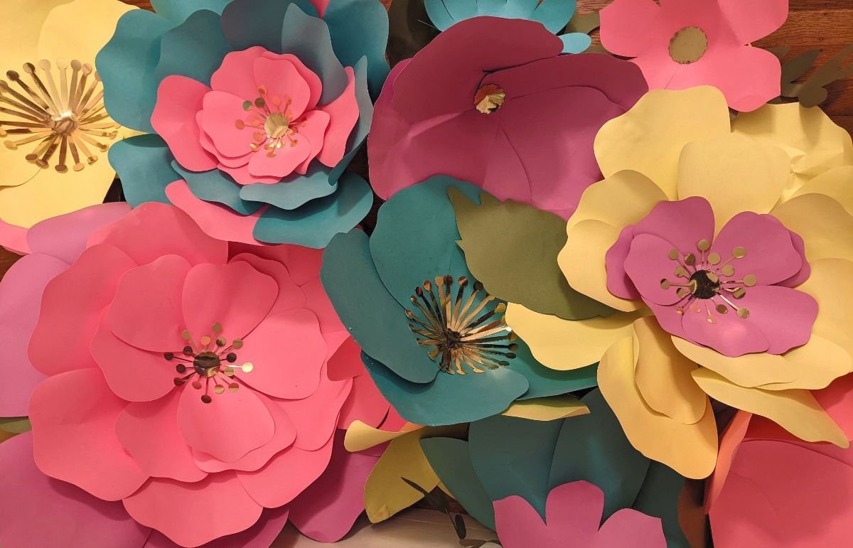 Fall Class Schedule + Steppin' Out July News