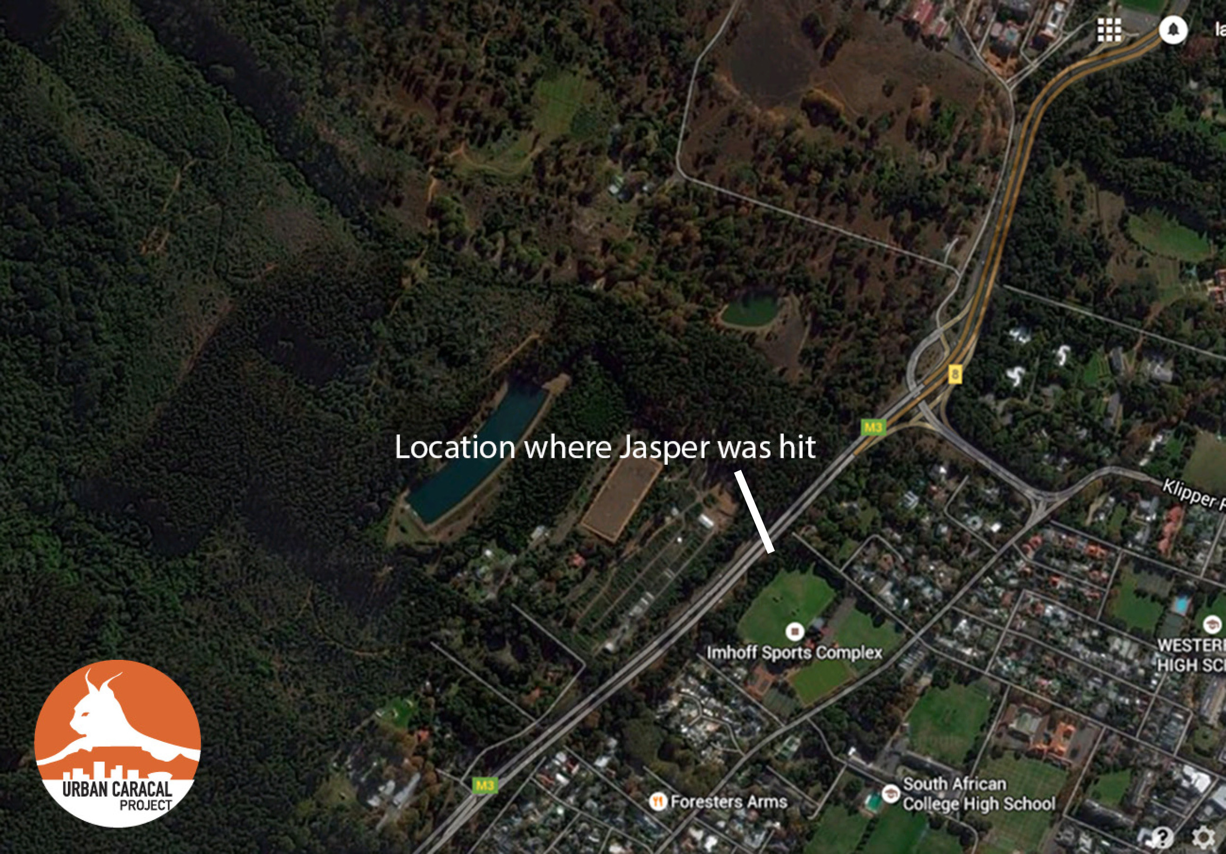 A map showing where we recovered Jasper's body and where he was hit by the car.