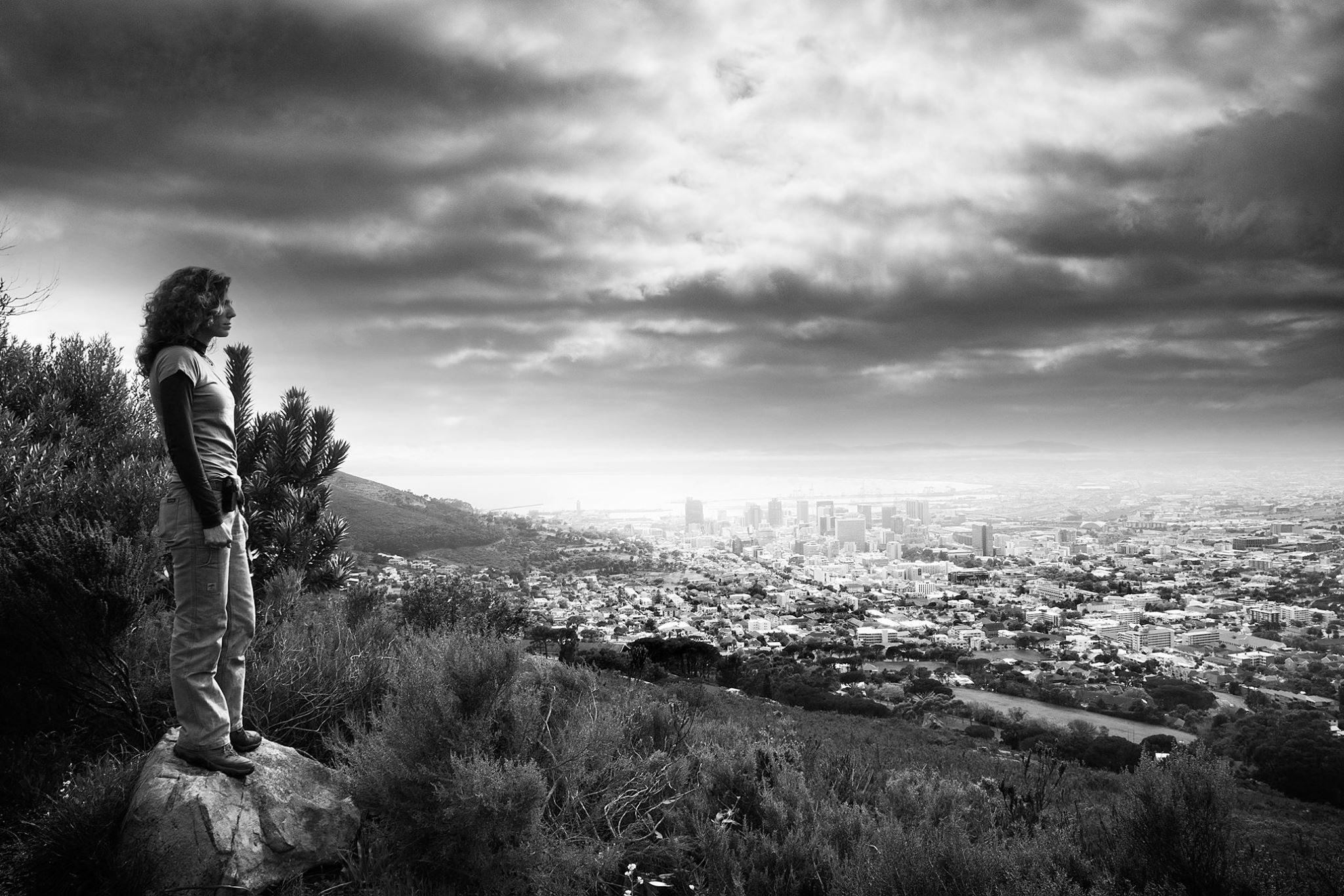 My dream of doing something new brought me to Cape Town, South Africa to study another urban wild cat. Photo credit Riaan Vermeulen
