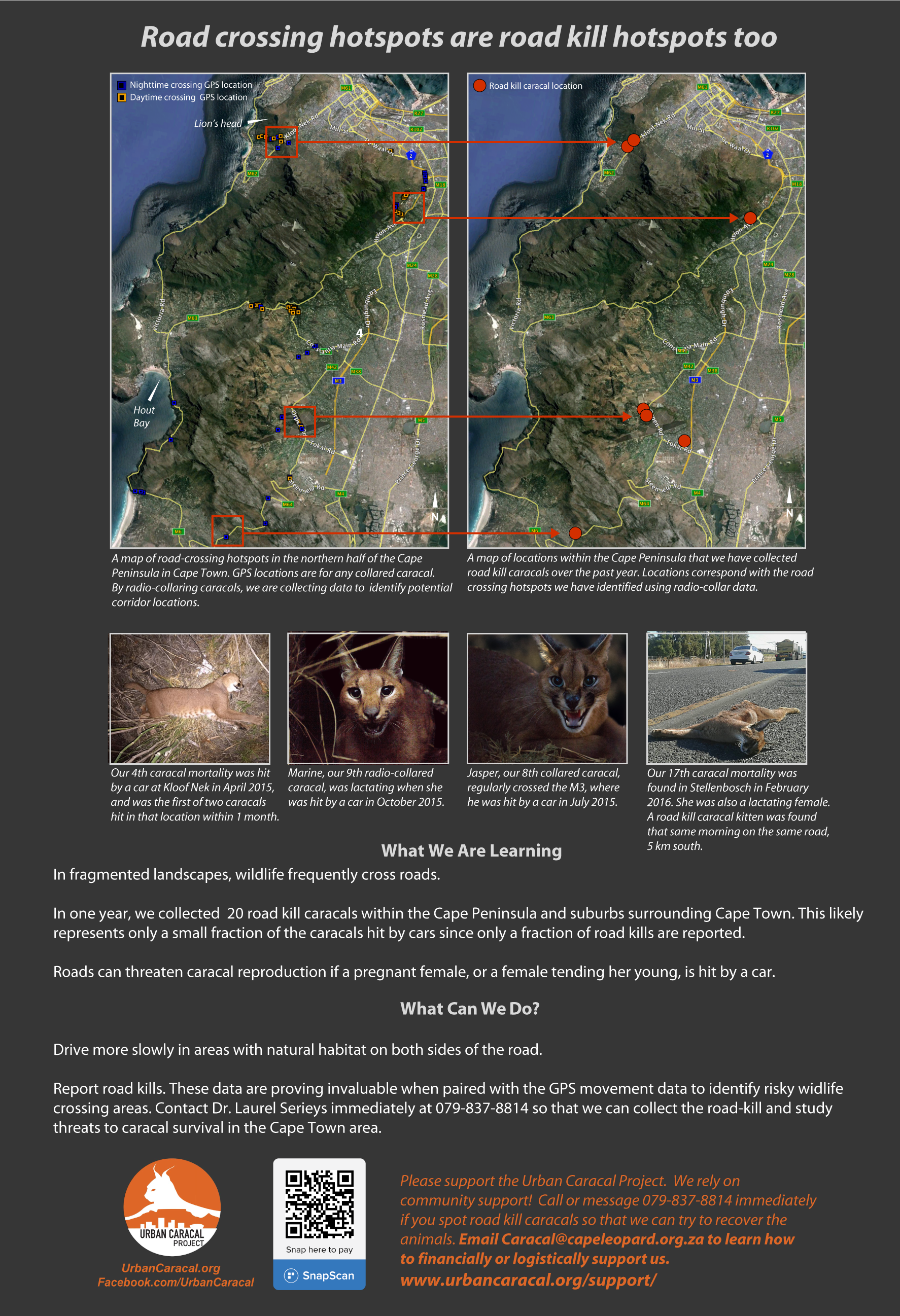 RoadKill_HotSpots_Infographic_web.png