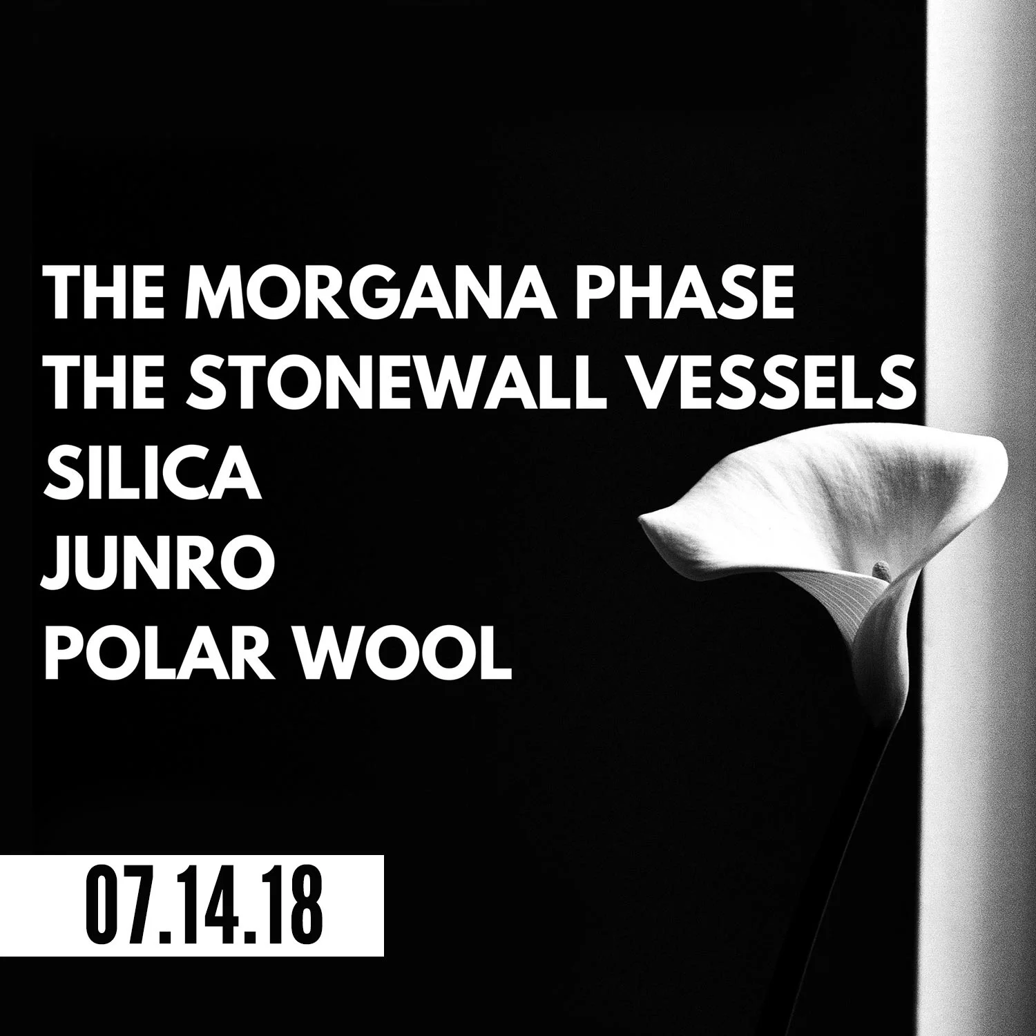 morganaPhase_thmb2.jpg