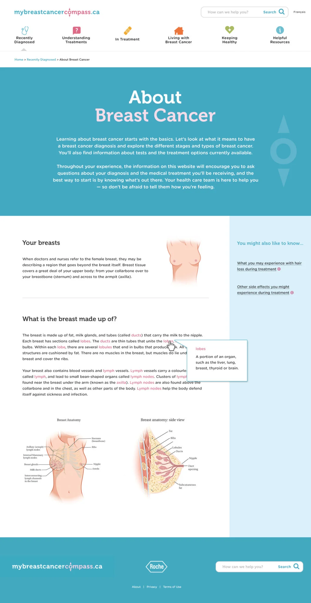 Roche_HER_Website_ContentPage_AboutBreastCancer.jpg