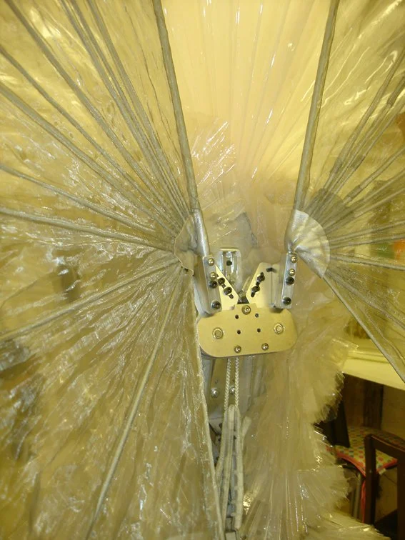 Gaga-Wings-copy.jpg
