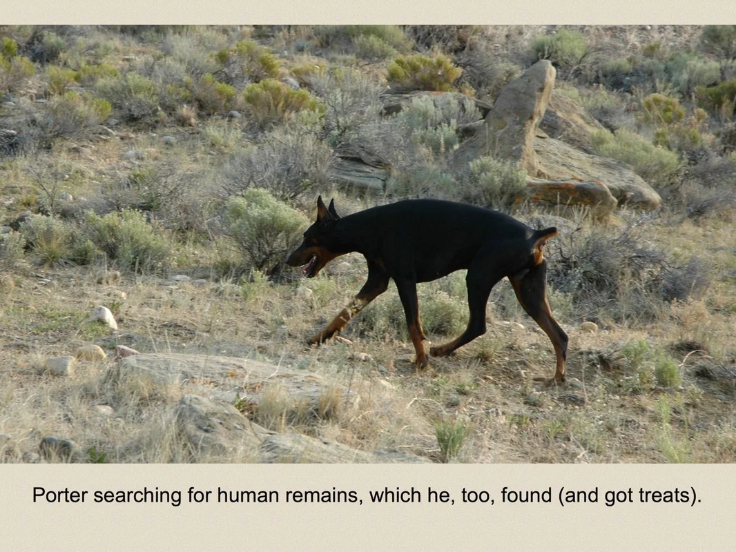 4129799_orig.jpeg