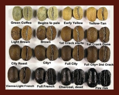 the different stages of coffee roasting