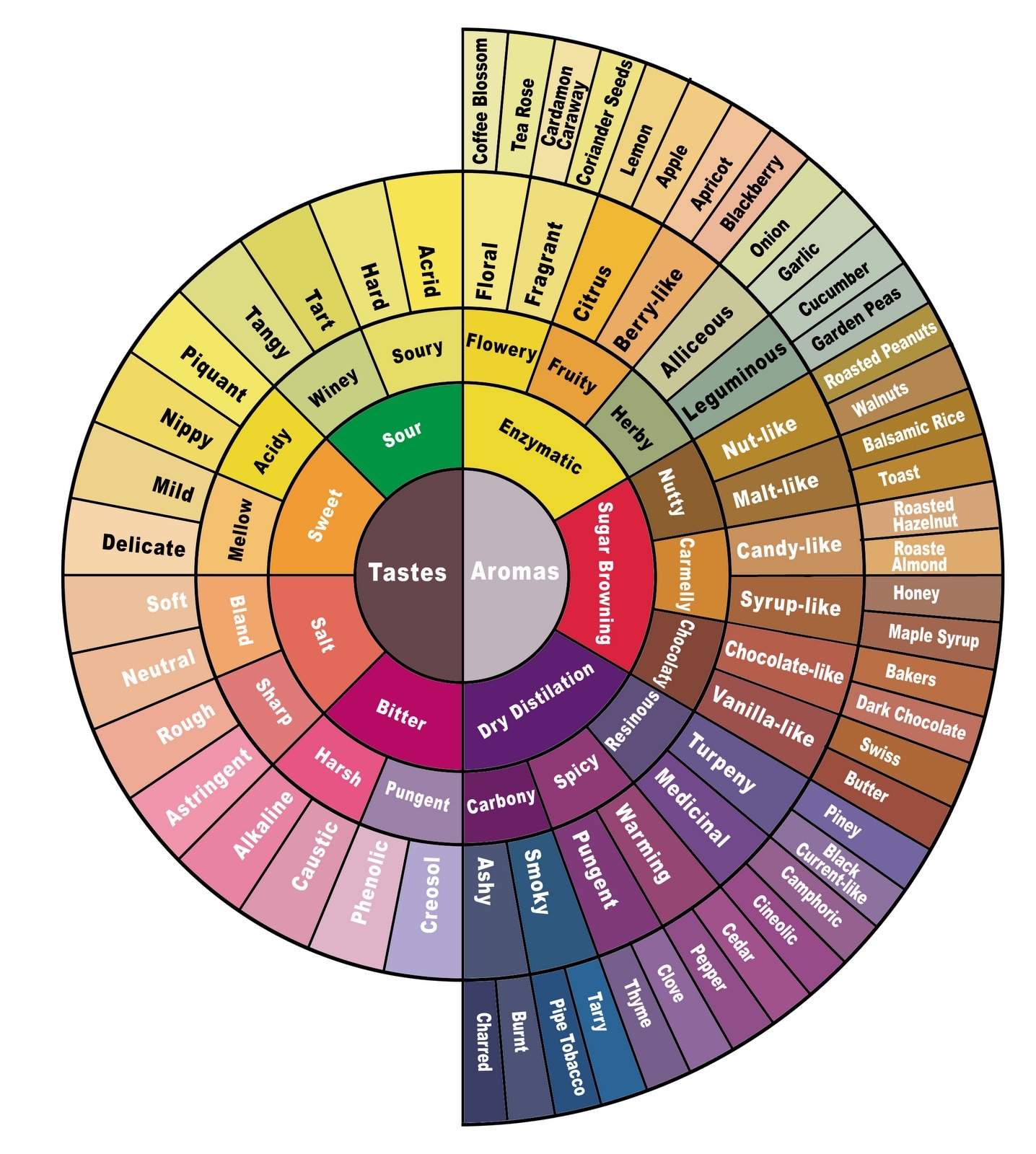 Flavor Wheel