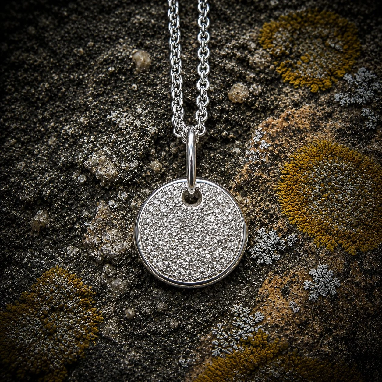 on lichen wall.jpg