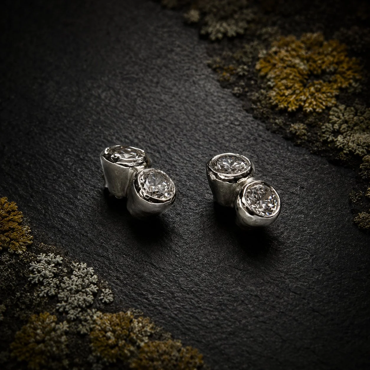 with lichen style.jpg