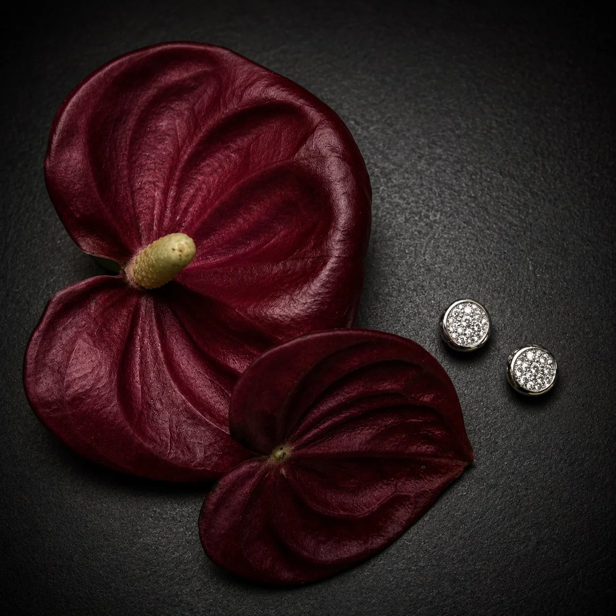 Symbio stud earrings