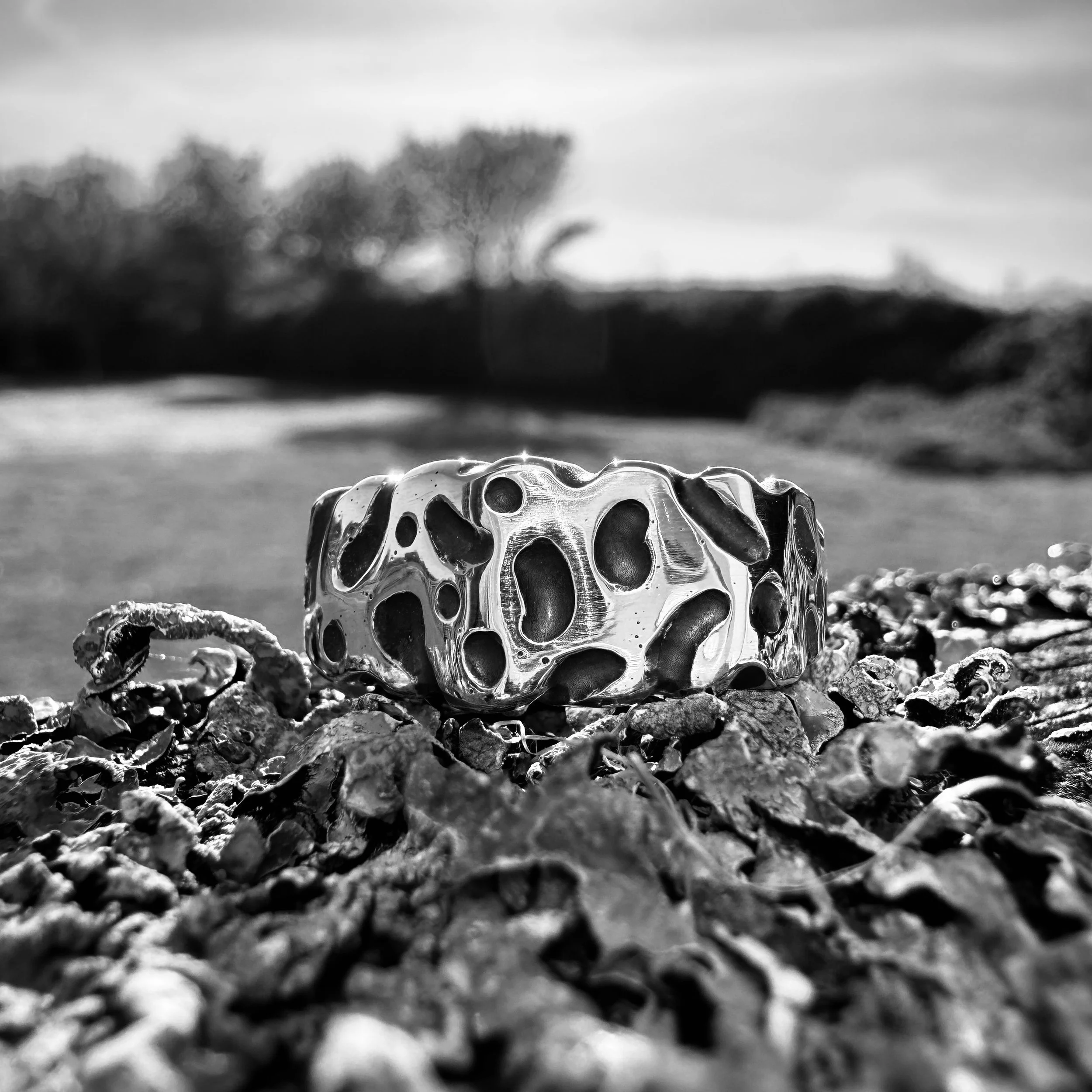 BW new.jpg