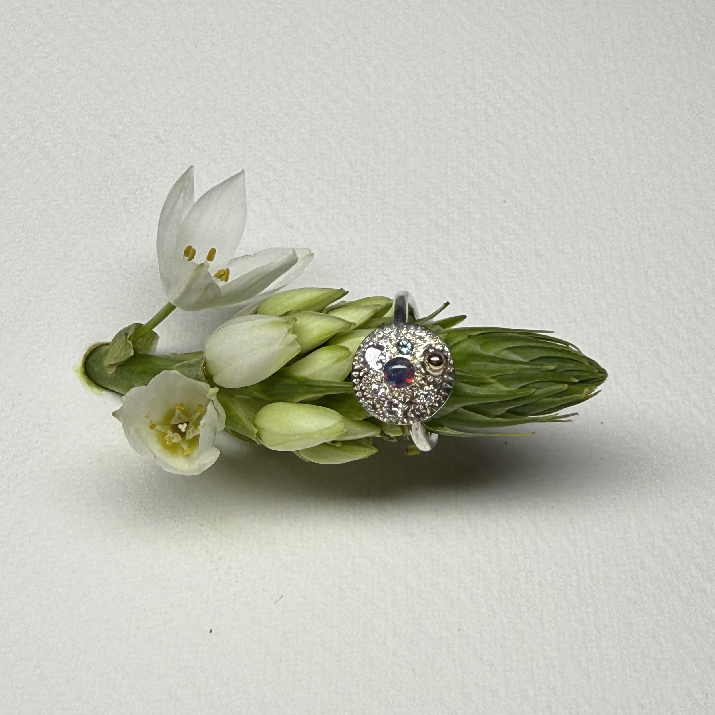 Landscape ring