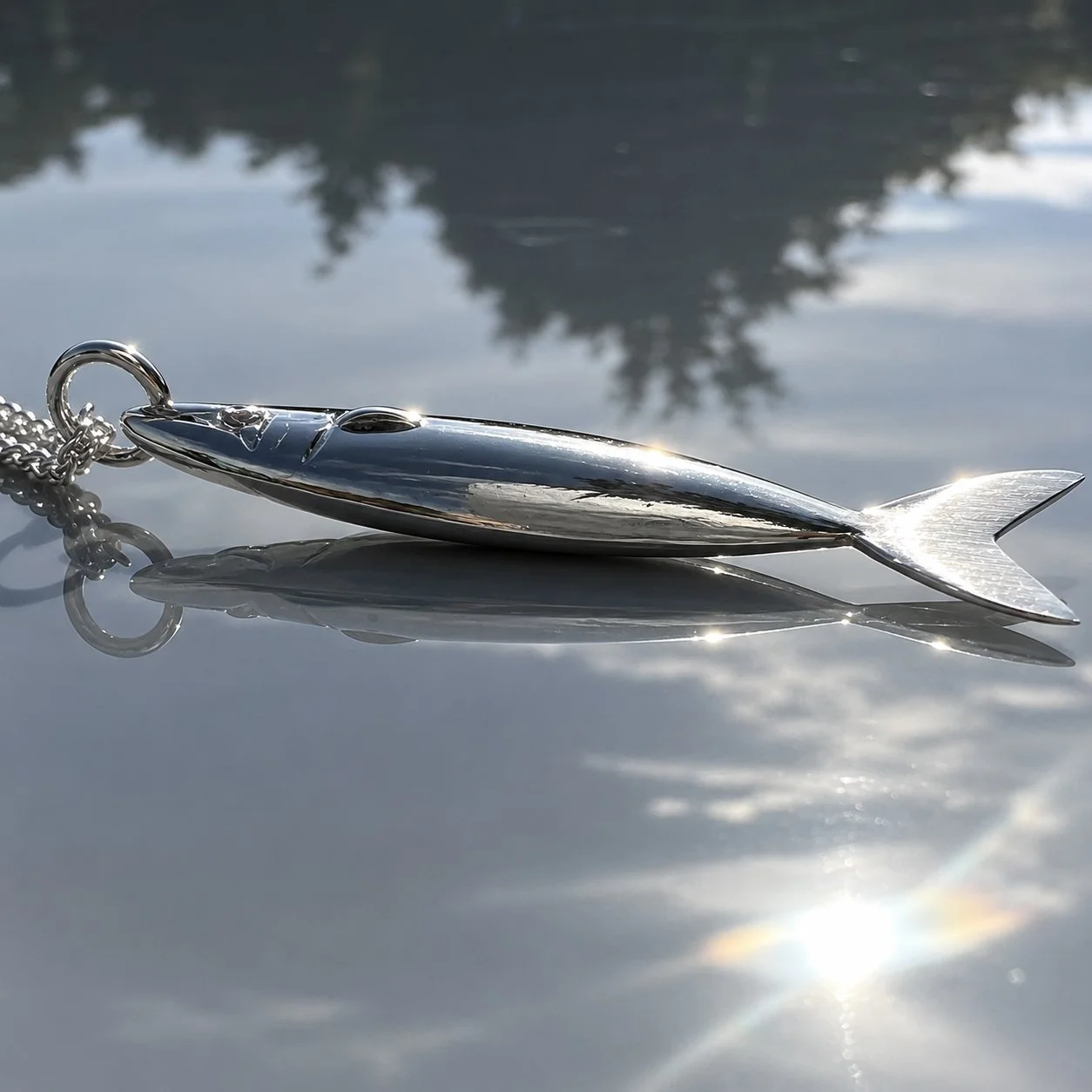 reflections.jpg