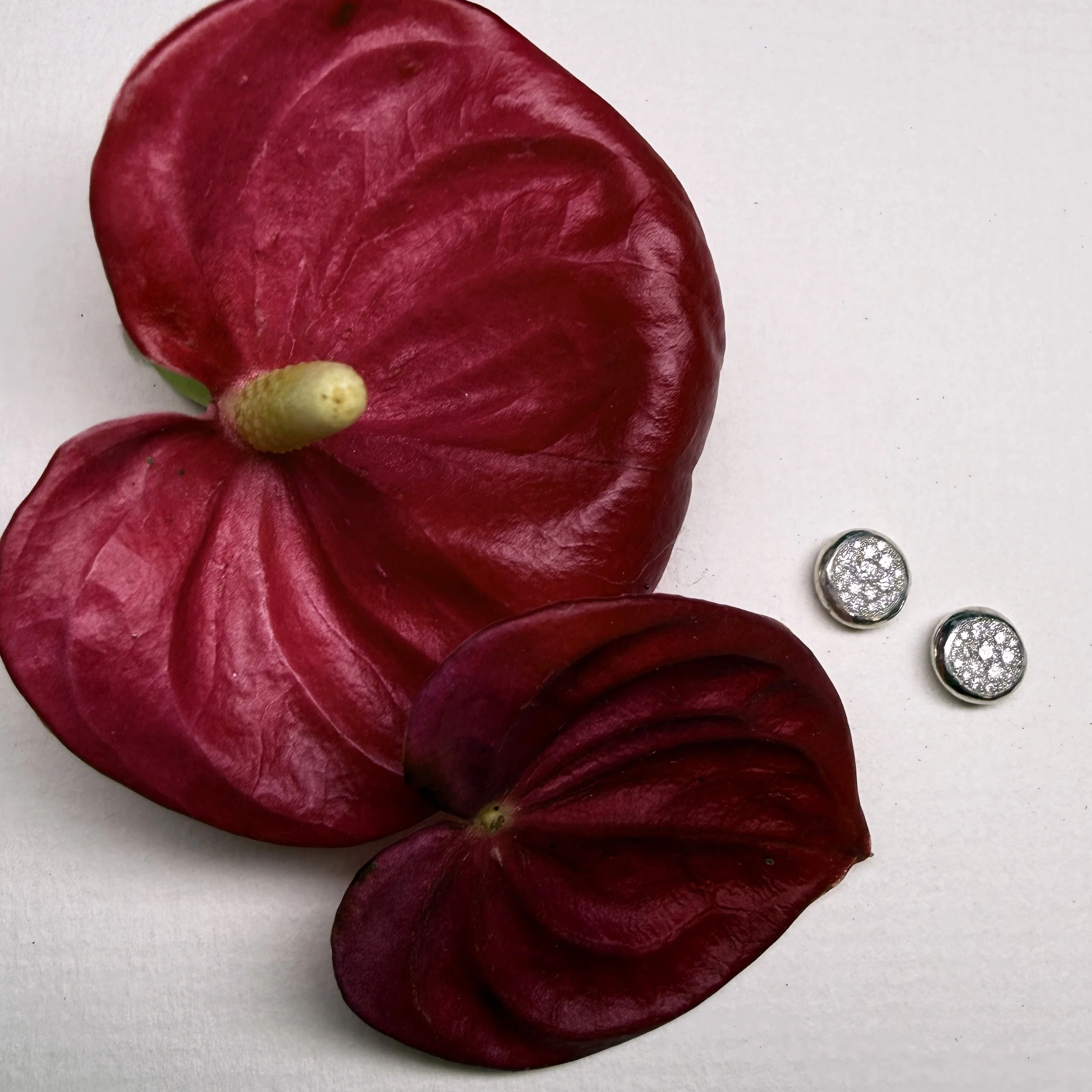 serti neige studs 1.jpg