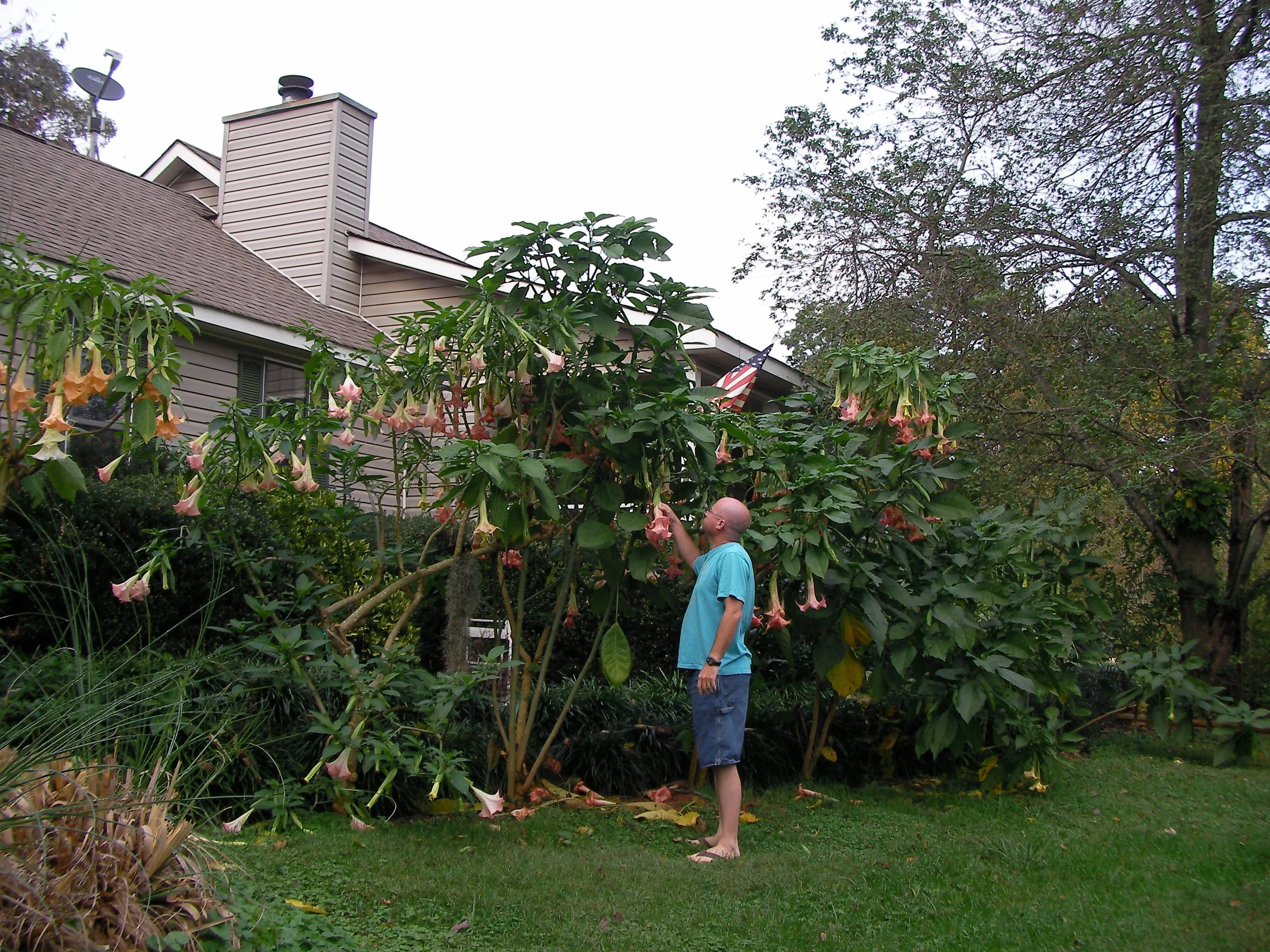 10 14 2014 brugs 077.JPG