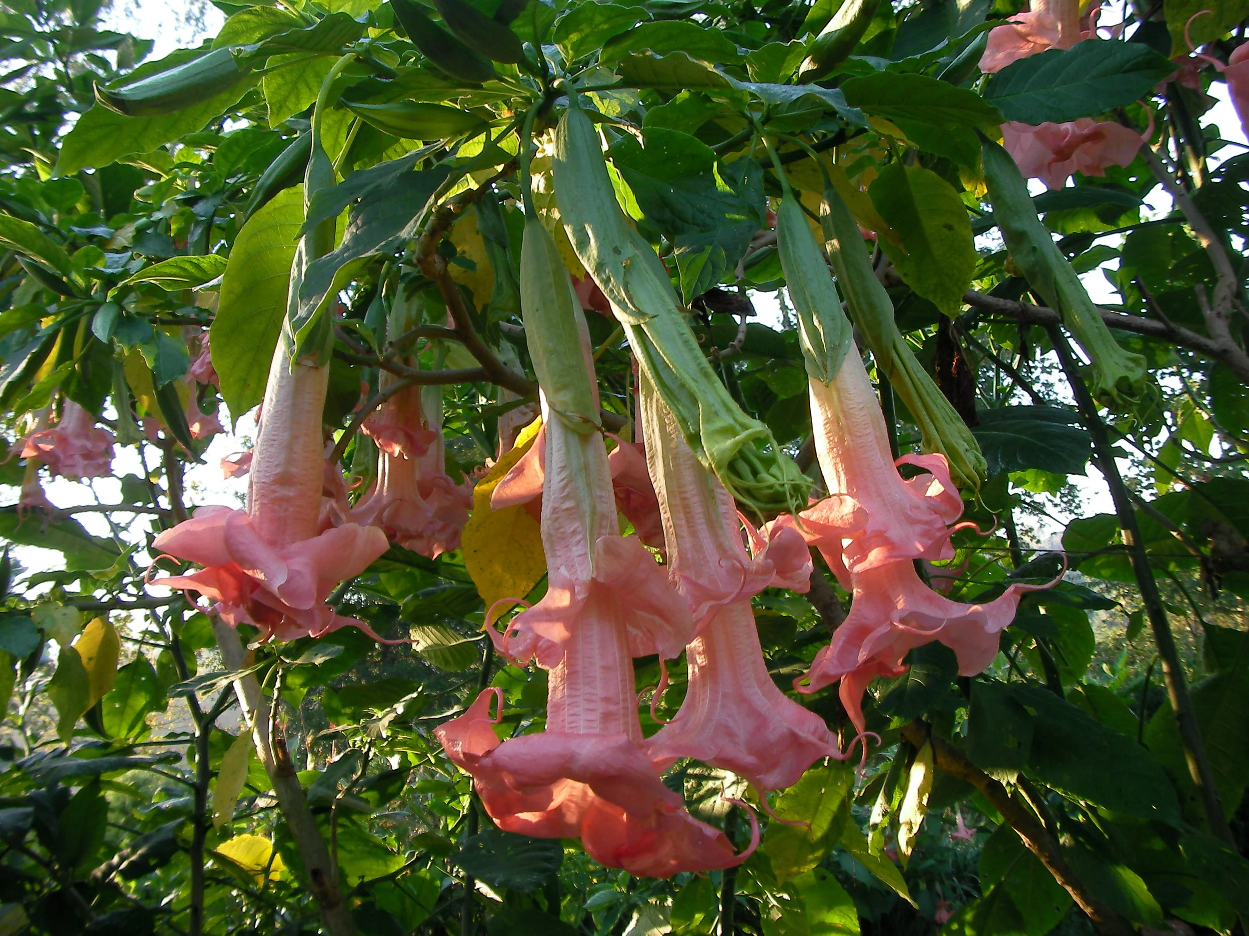 10-02-14 brugs 178.JPG