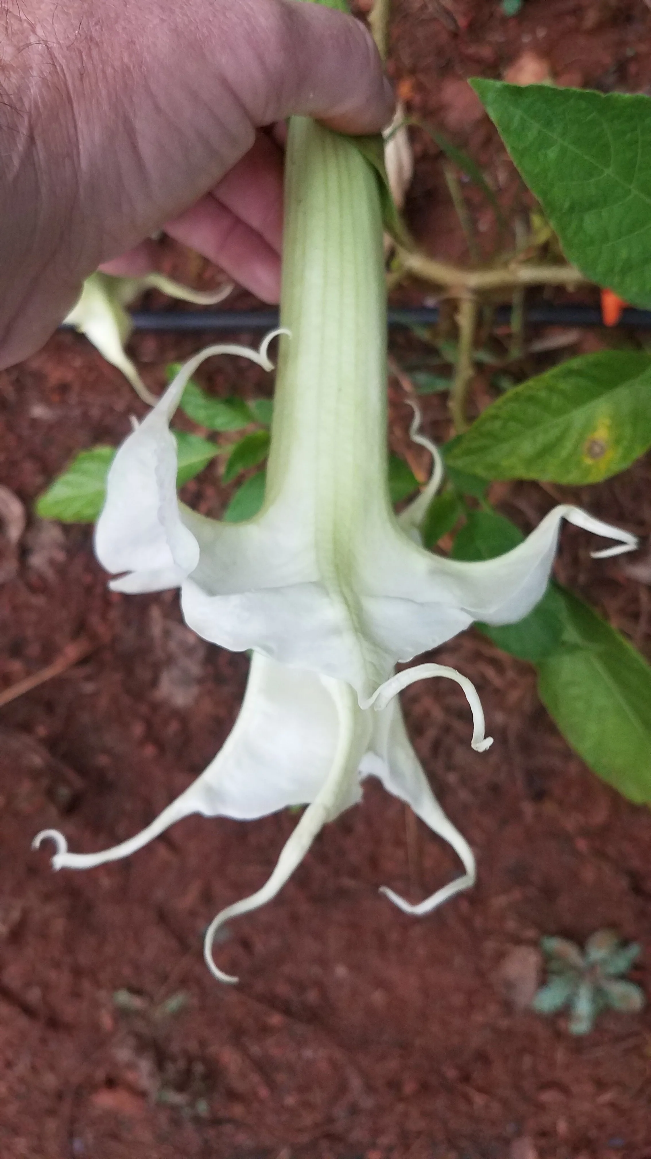 20190827_081429.jpg