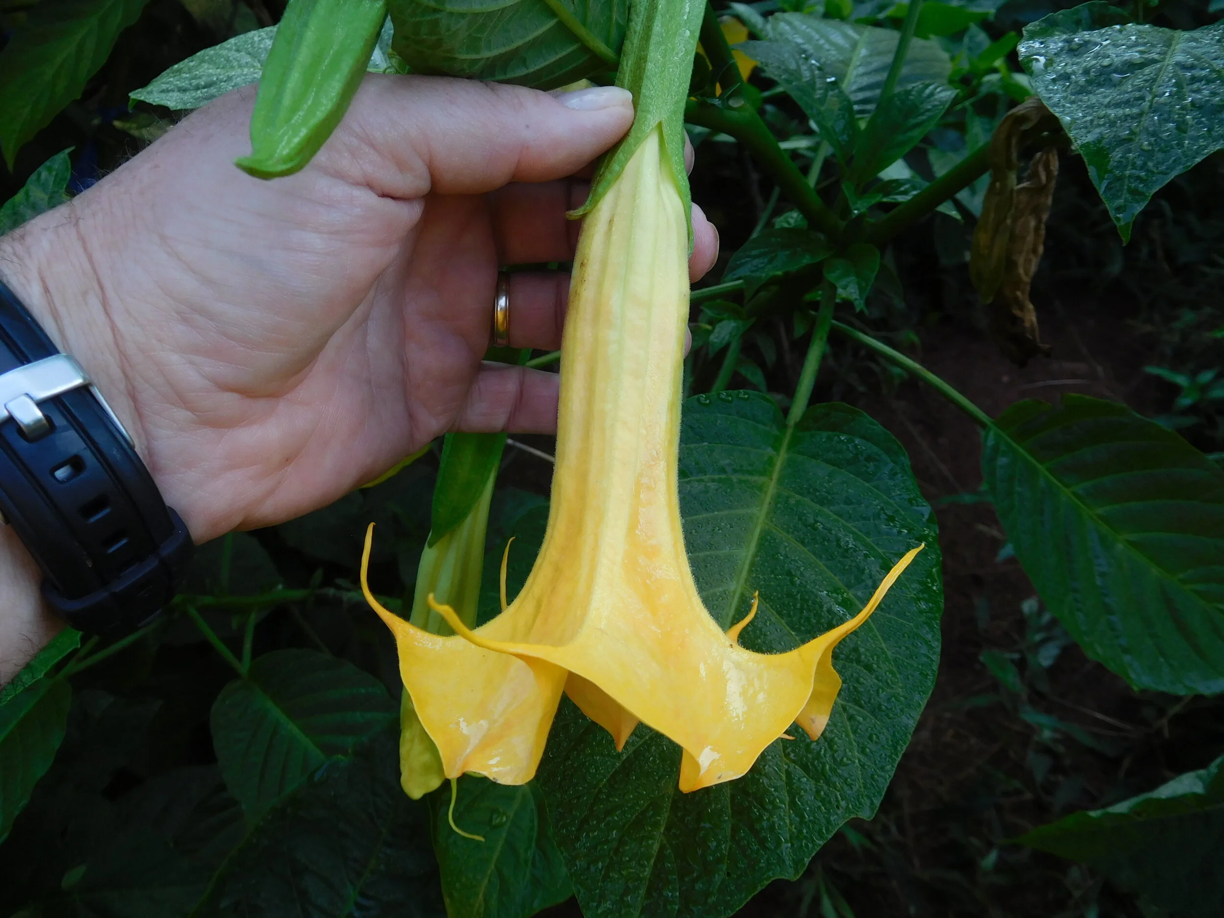 DSCN6320.JPG
