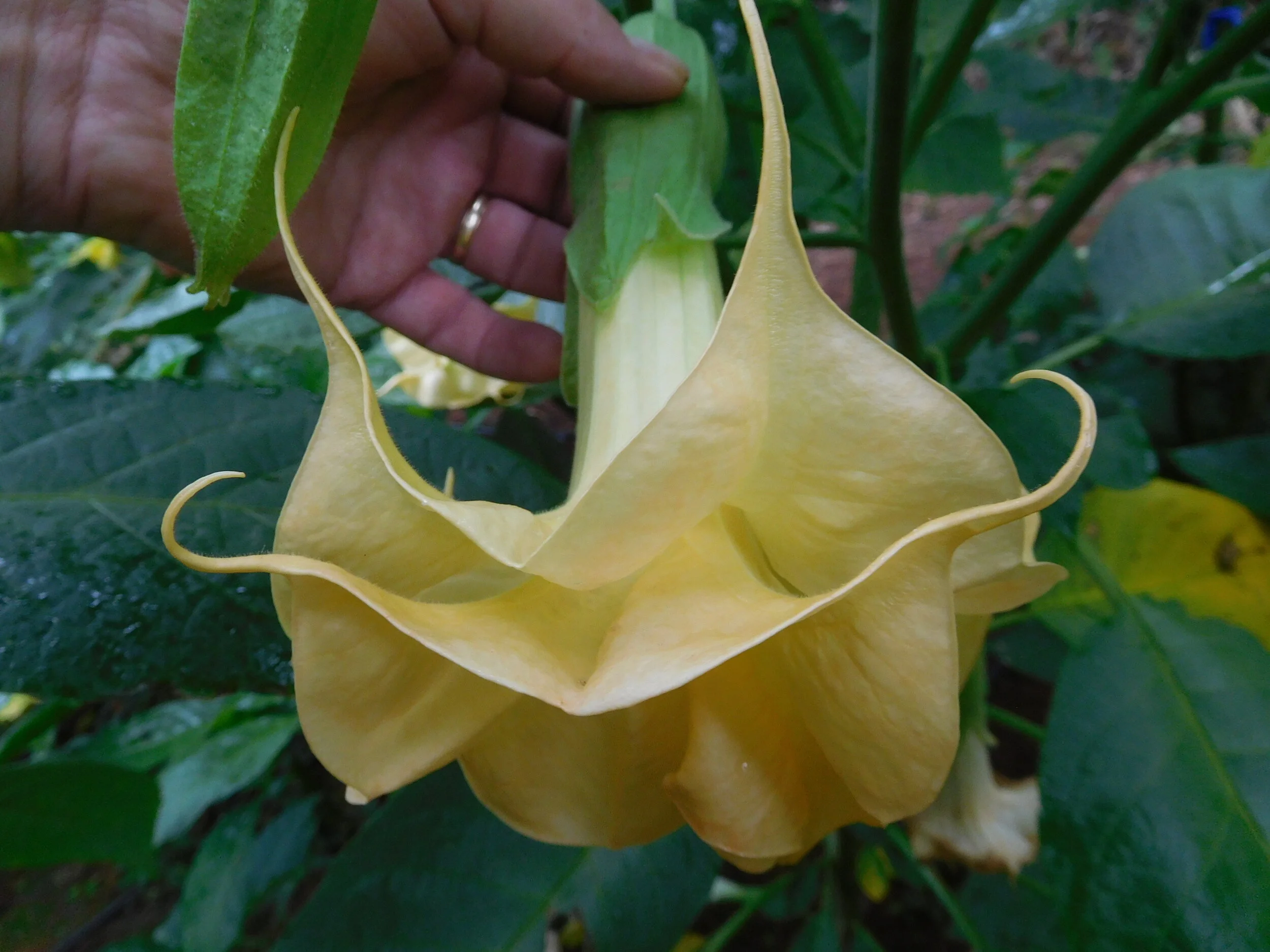 DSCN6408.JPG