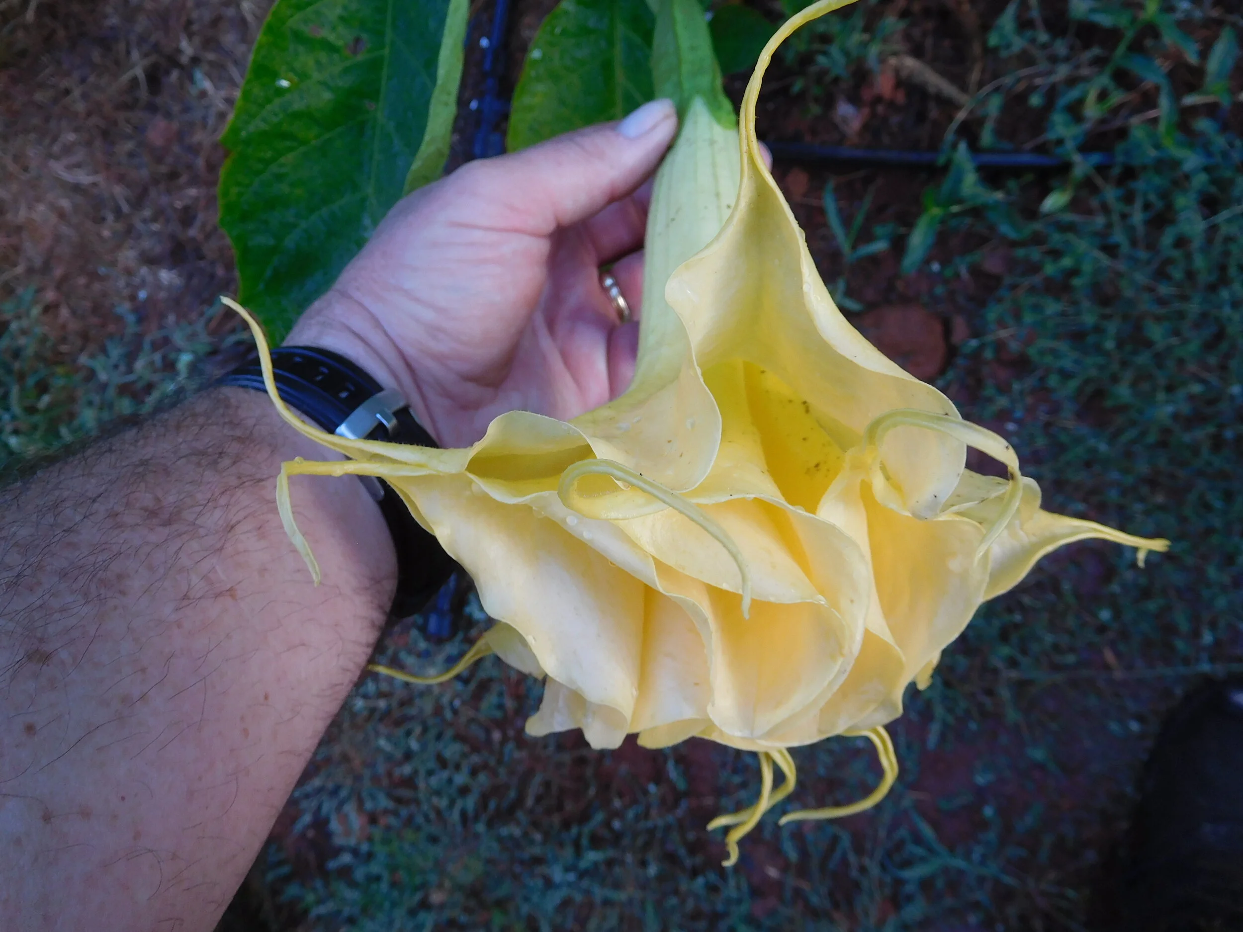 DSCN6125.JPG