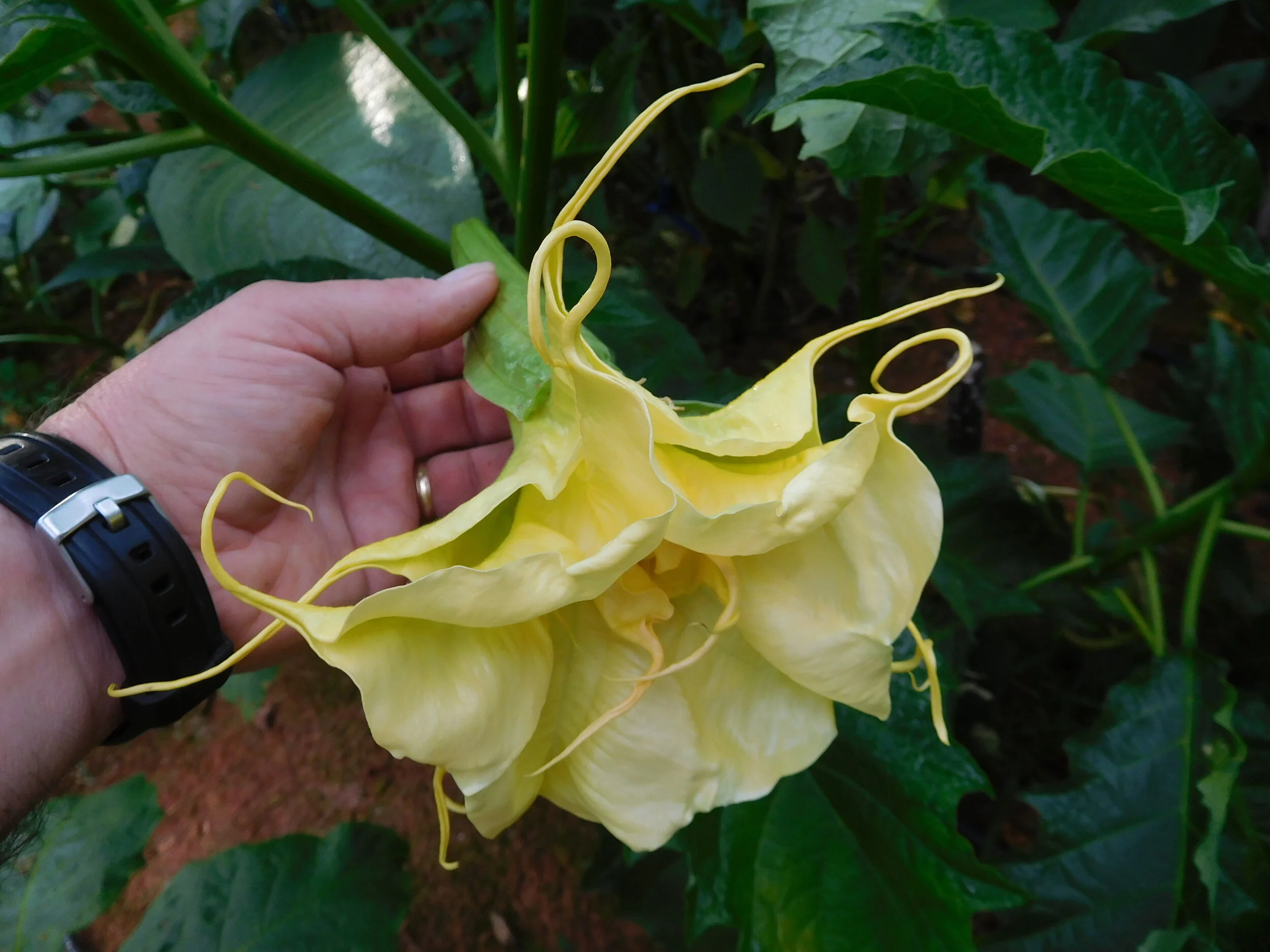 DSCN6038.JPG