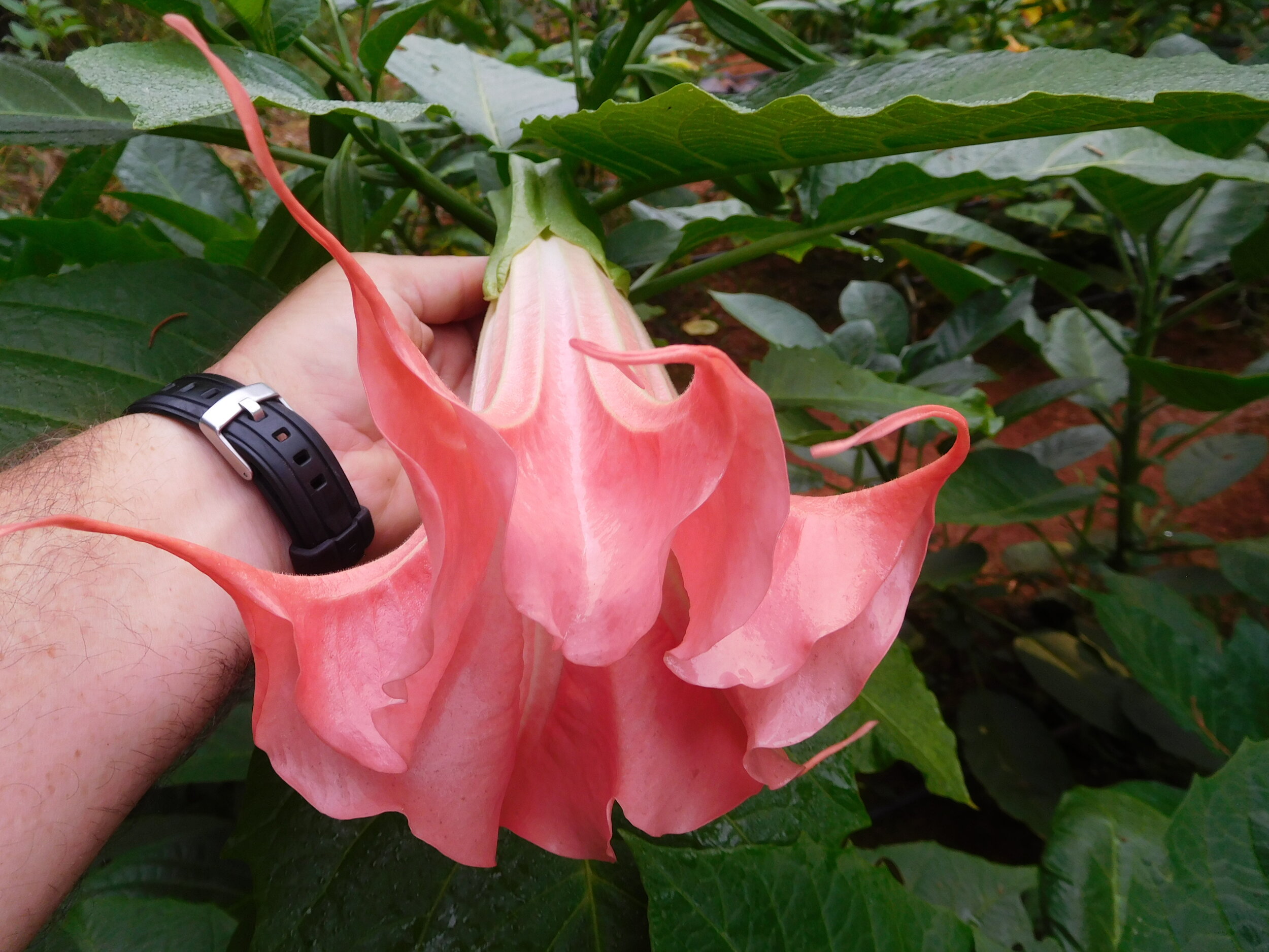 DSCN6046.JPG