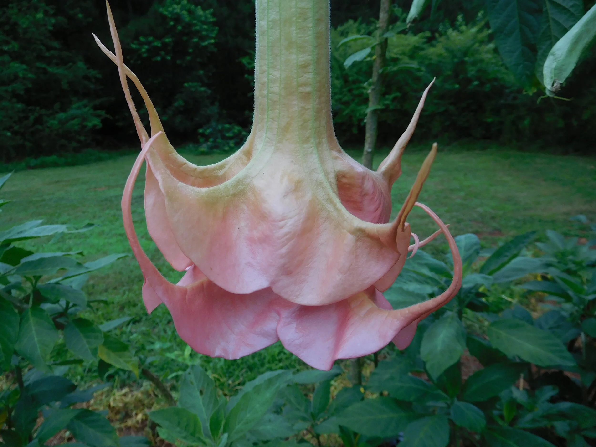 DSCN5664.JPG