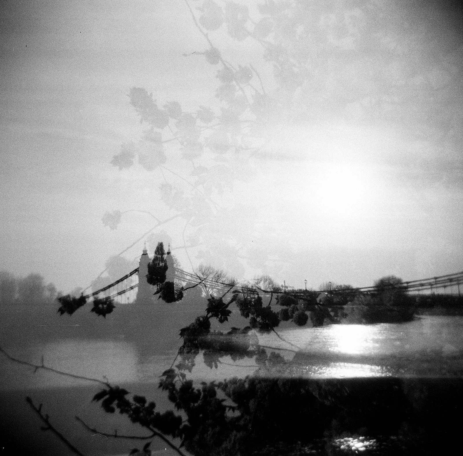 Hammersmith Thames