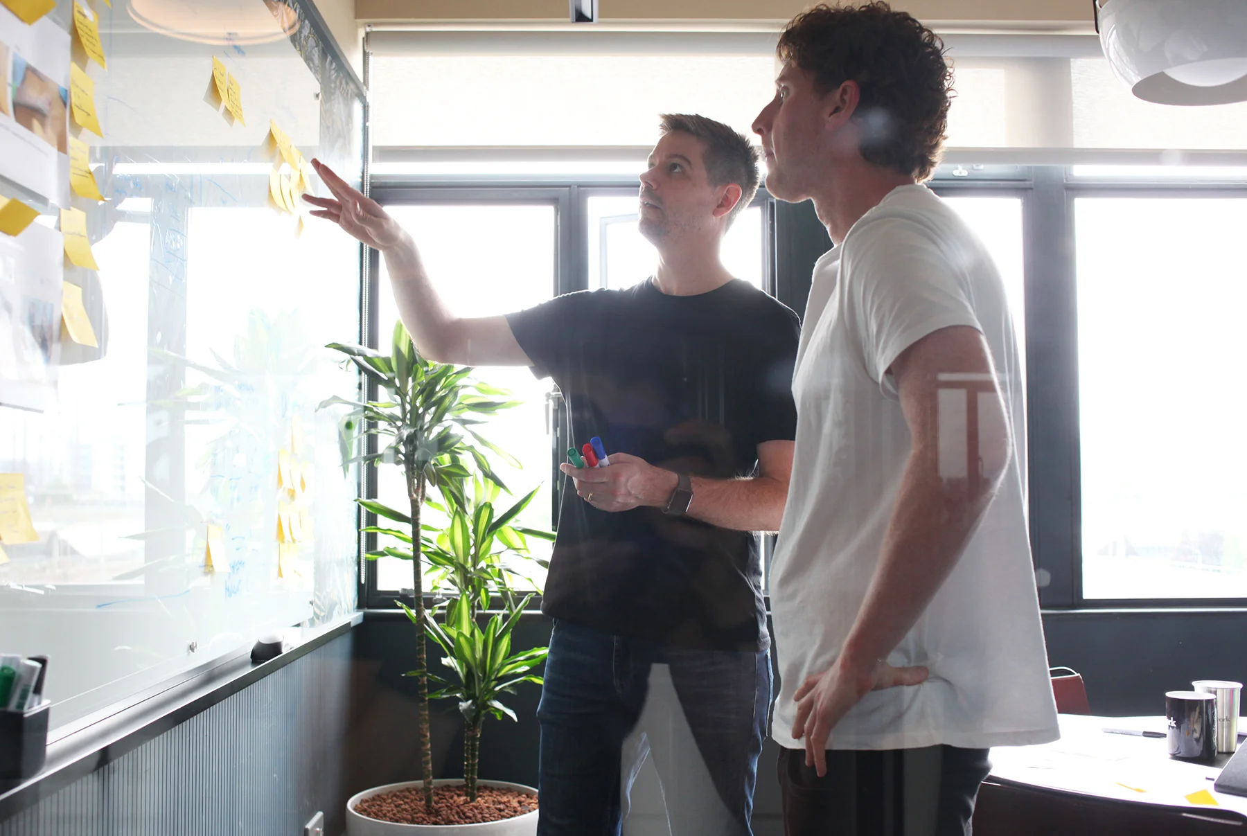 Pollenary promo photos