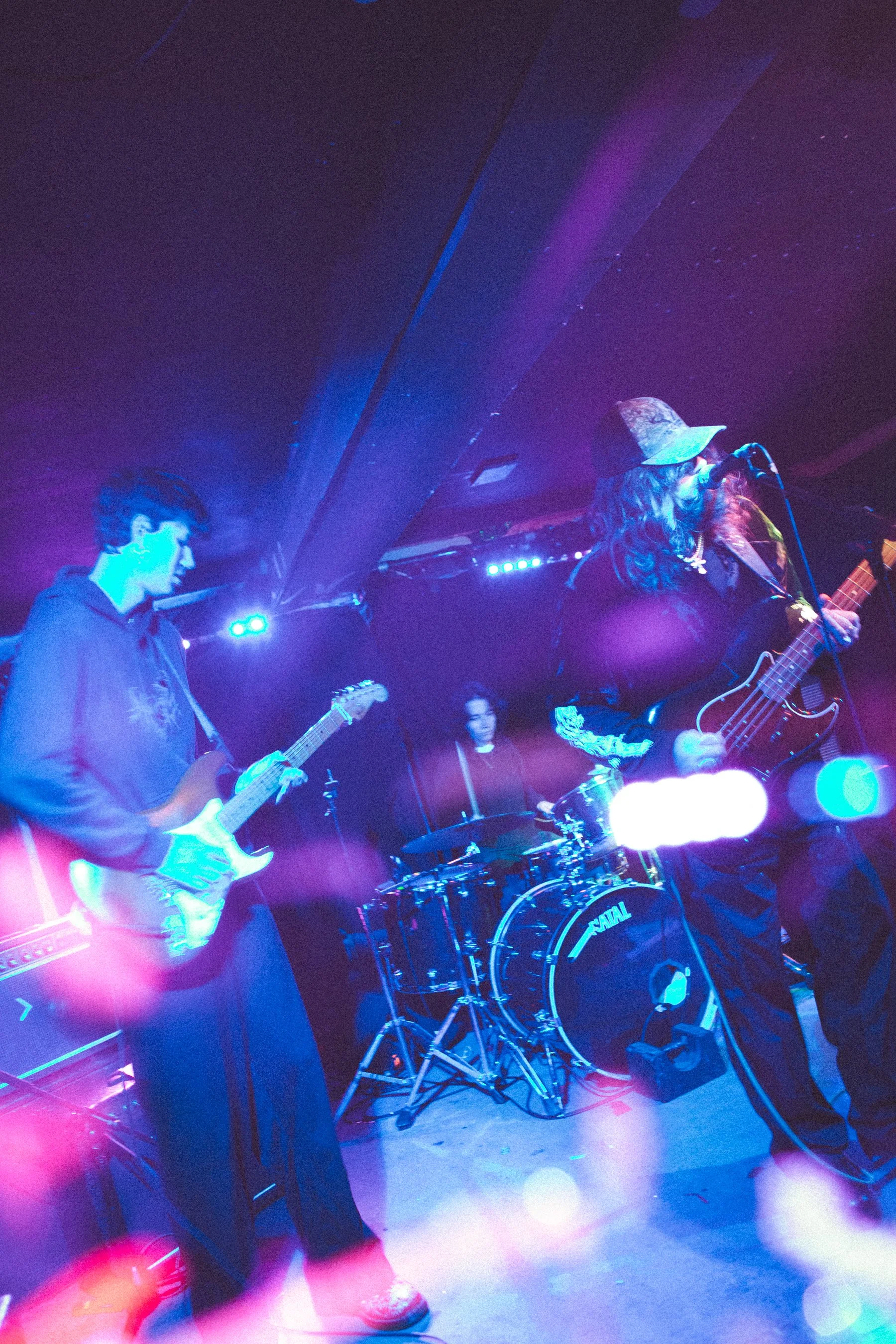 Wild Heavy / Sebright Arms 2025