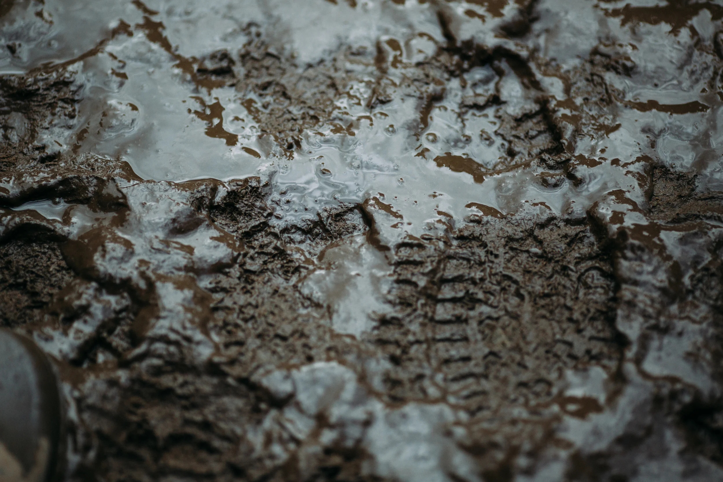 0F8A7998.jpg