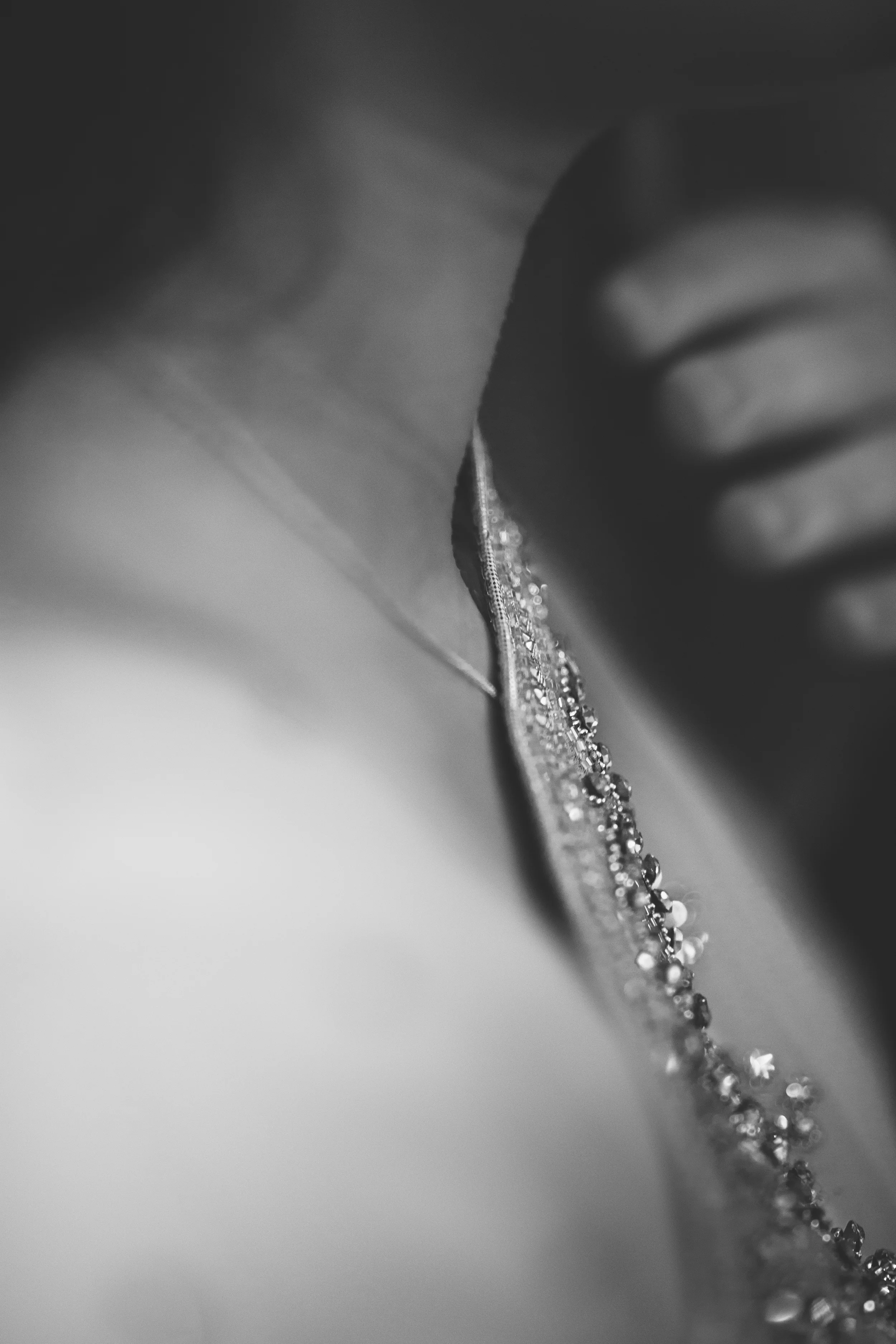 0F8A9166.jpg