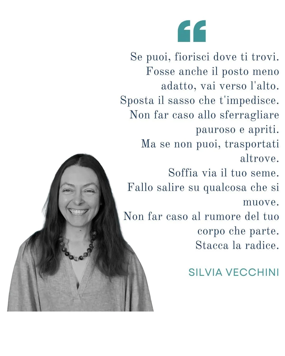 Silvia Vecchini  - se tutte insieme