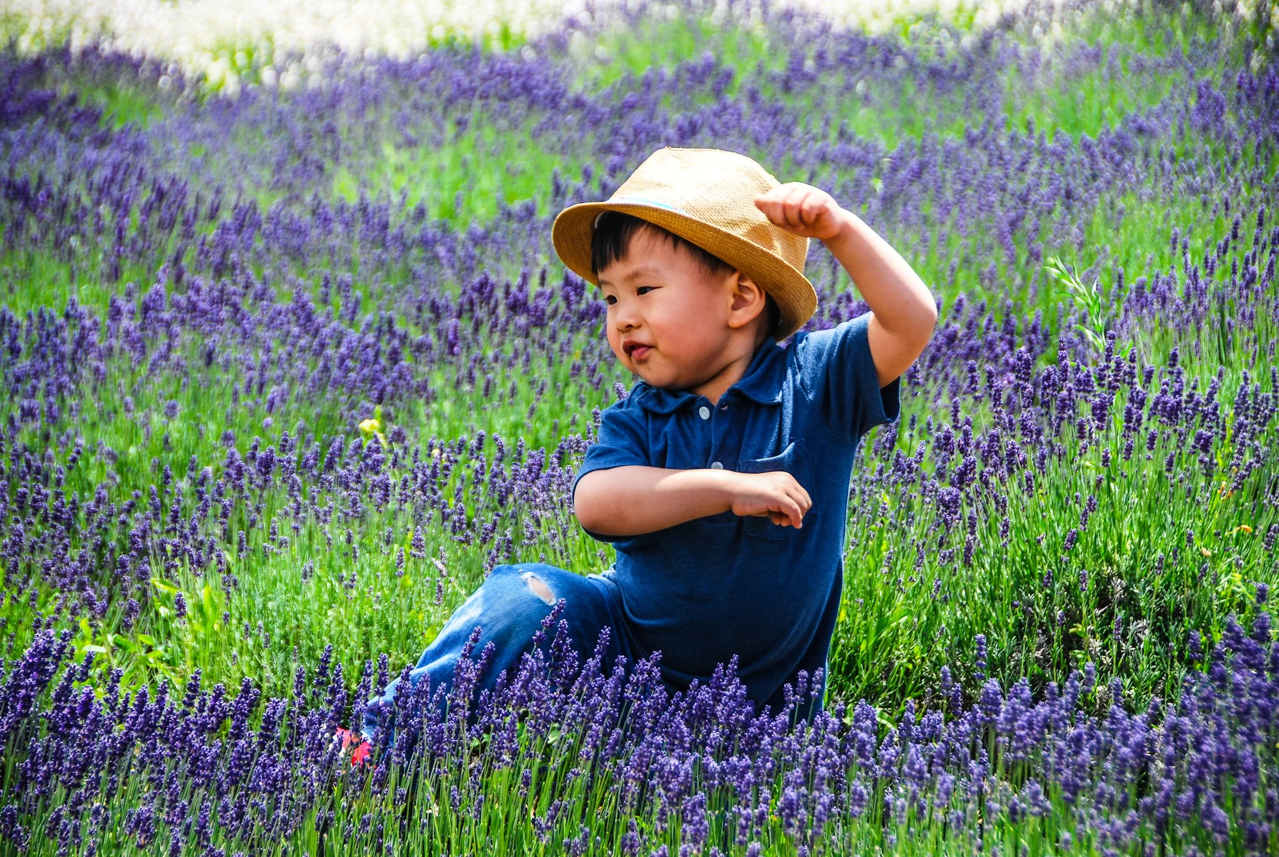 Lavender-0346.jpg