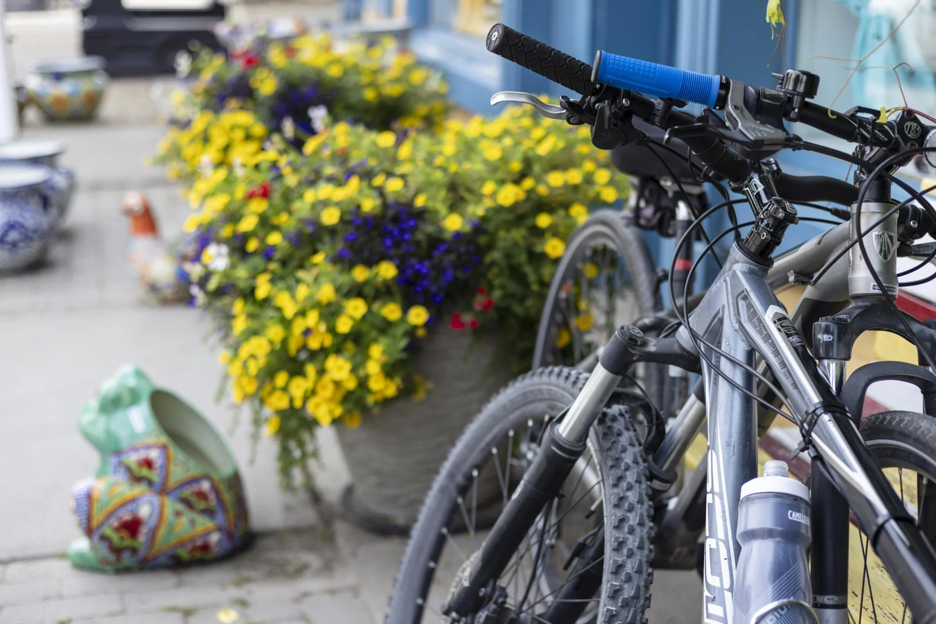 Bike Rentals
