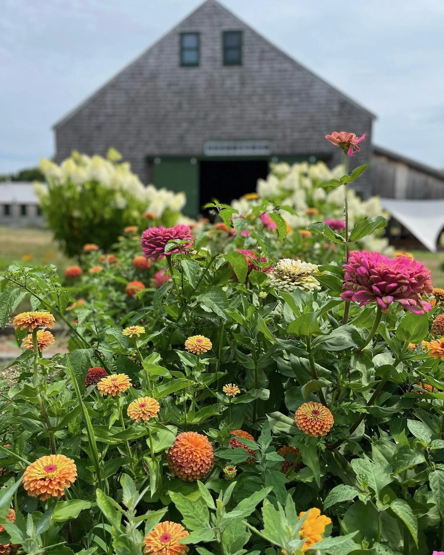 33BBB6ED-2E40-4604-82F9-75557C2B6915 (1).jpeg