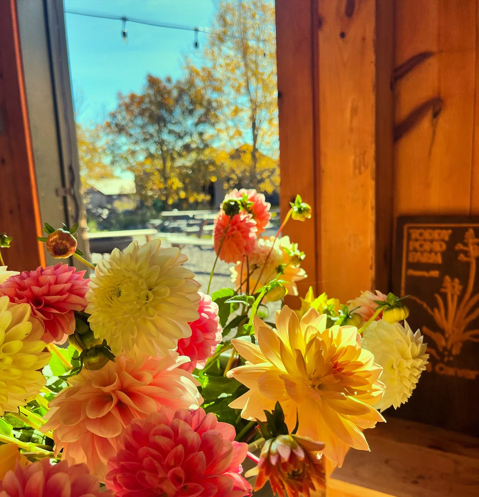 2A1B7C9B-0683-4561-8C2B-F3DE3CF79F25.jpeg (Copy) (Copy) (Copy)