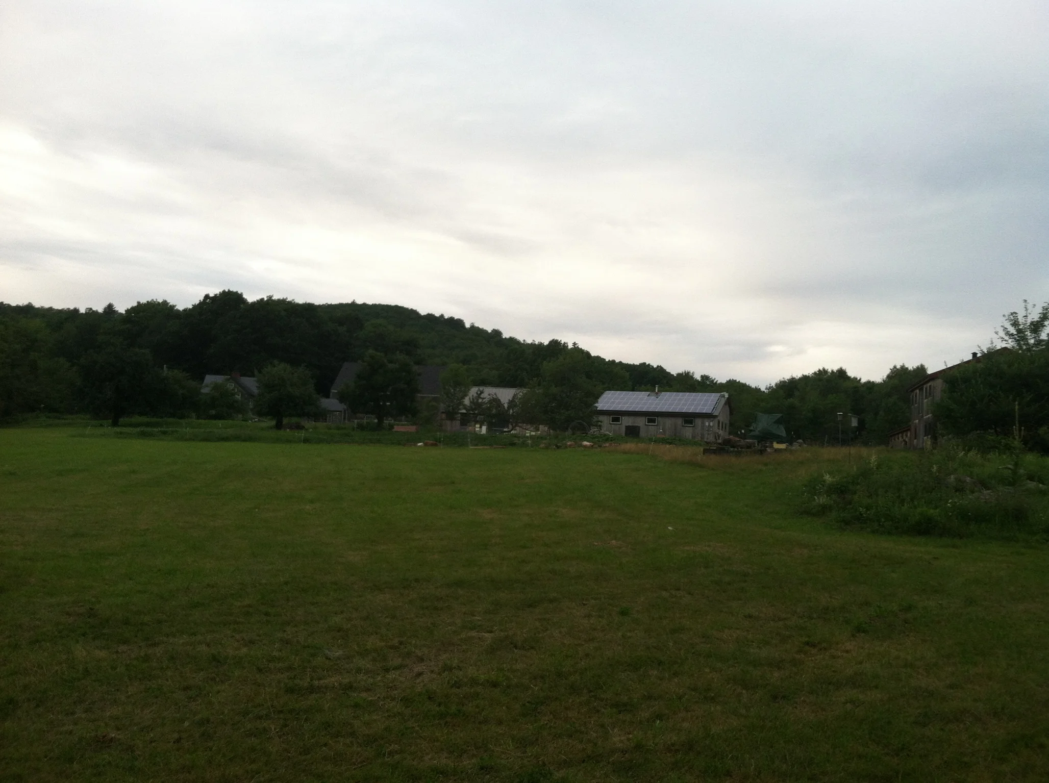 IMG_3506.jpg