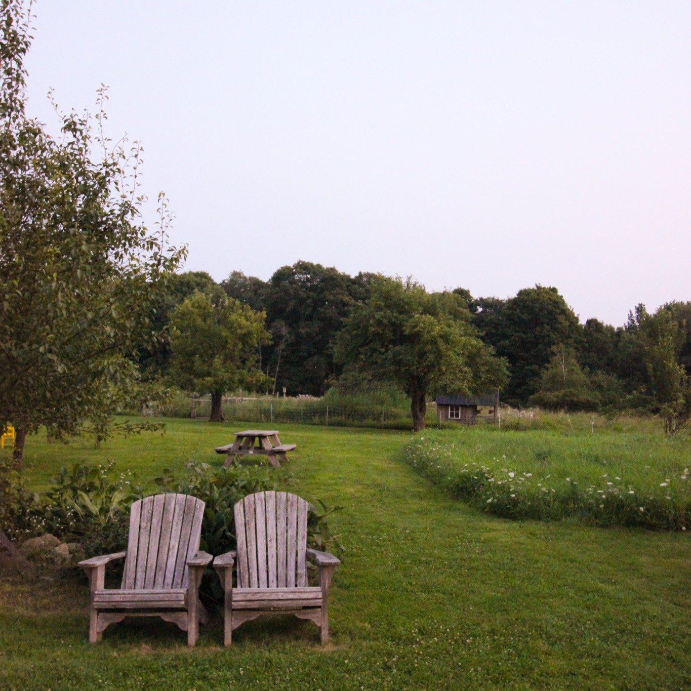 OPEN FARM &amp; LIVE MUSIC WITH TBD