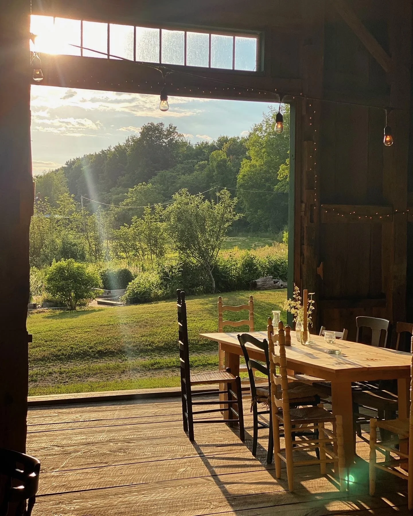 D726AE82-ED1C-43DD-A230-67756A884F08 (1).jpeg