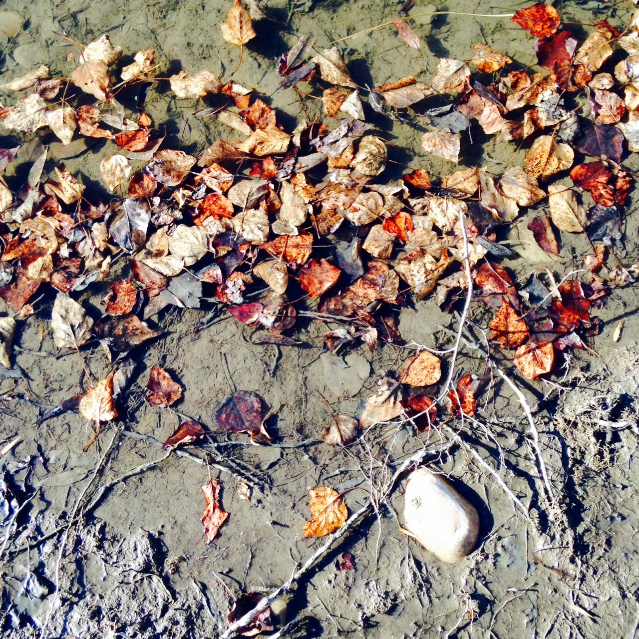 SACRED MUCK | PHOTO CREDIT: M. BONNEAU
