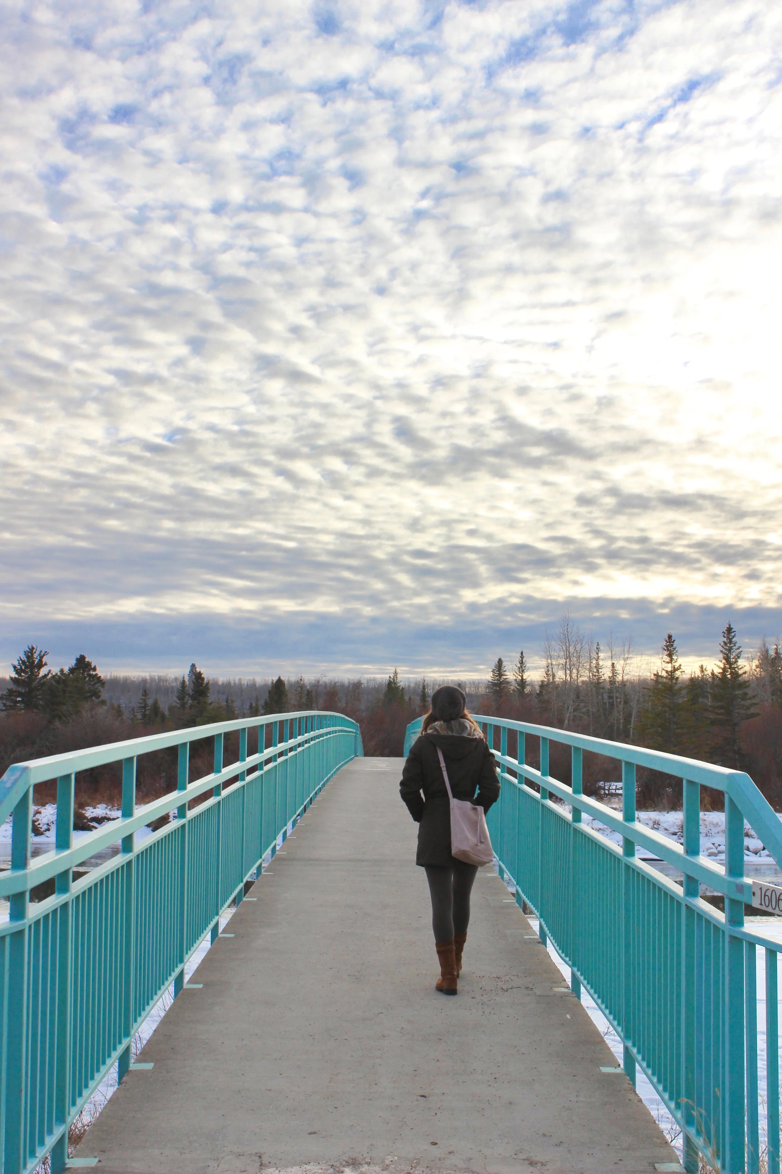 Into the Wild - Author Photograph by SoulFire Design