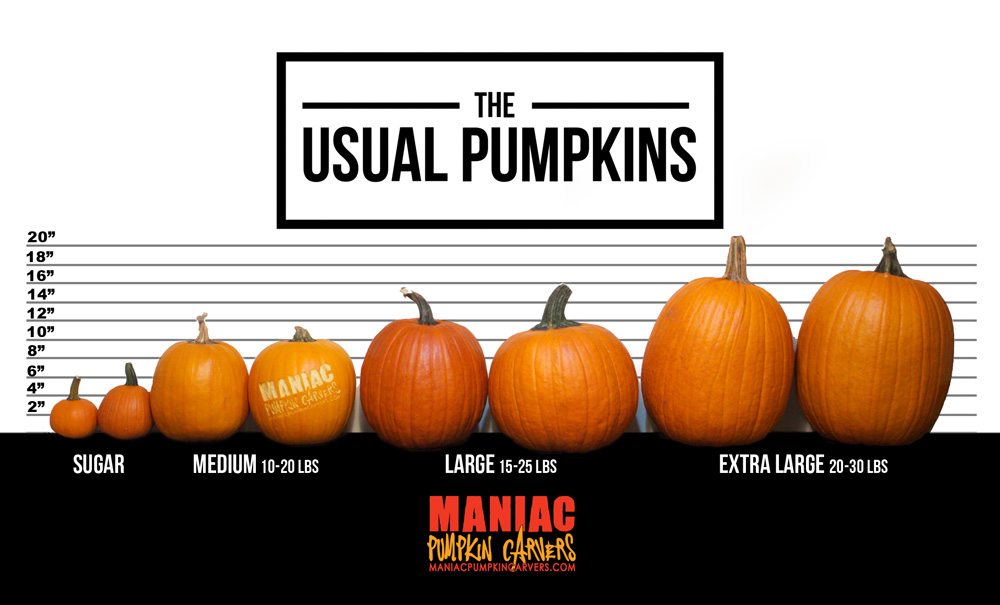 Pumpkin Weight Estimation Chart