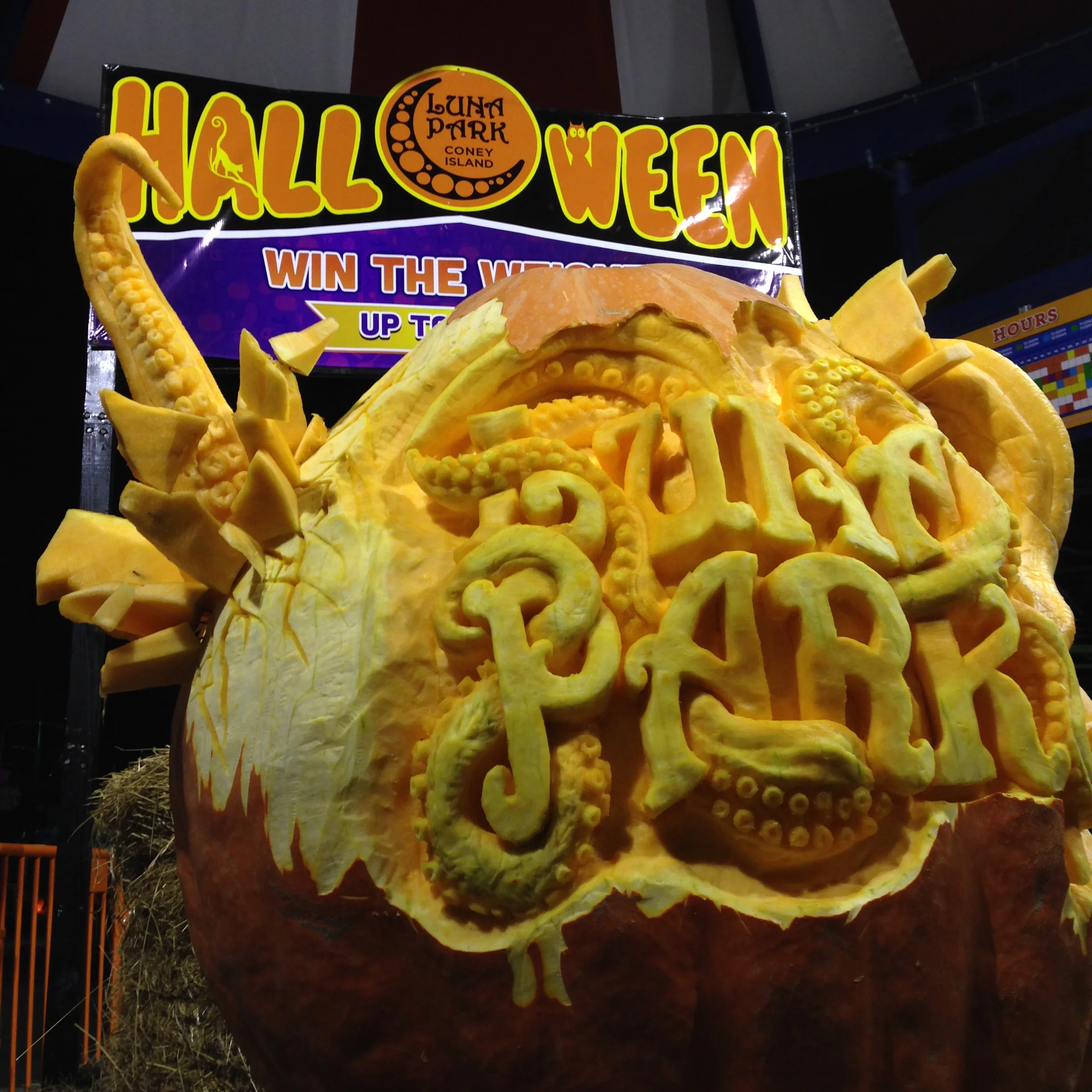 1000 pound giant pumpkin at Luna Park, Coney Island carved by Marc, Lenny, and Adan.